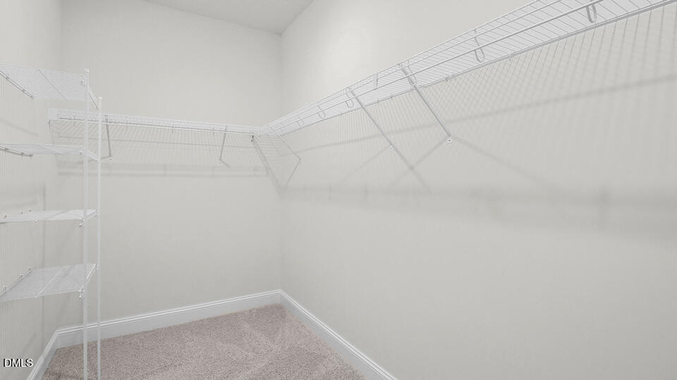 19 East Fire Opal Court Property Photo 32