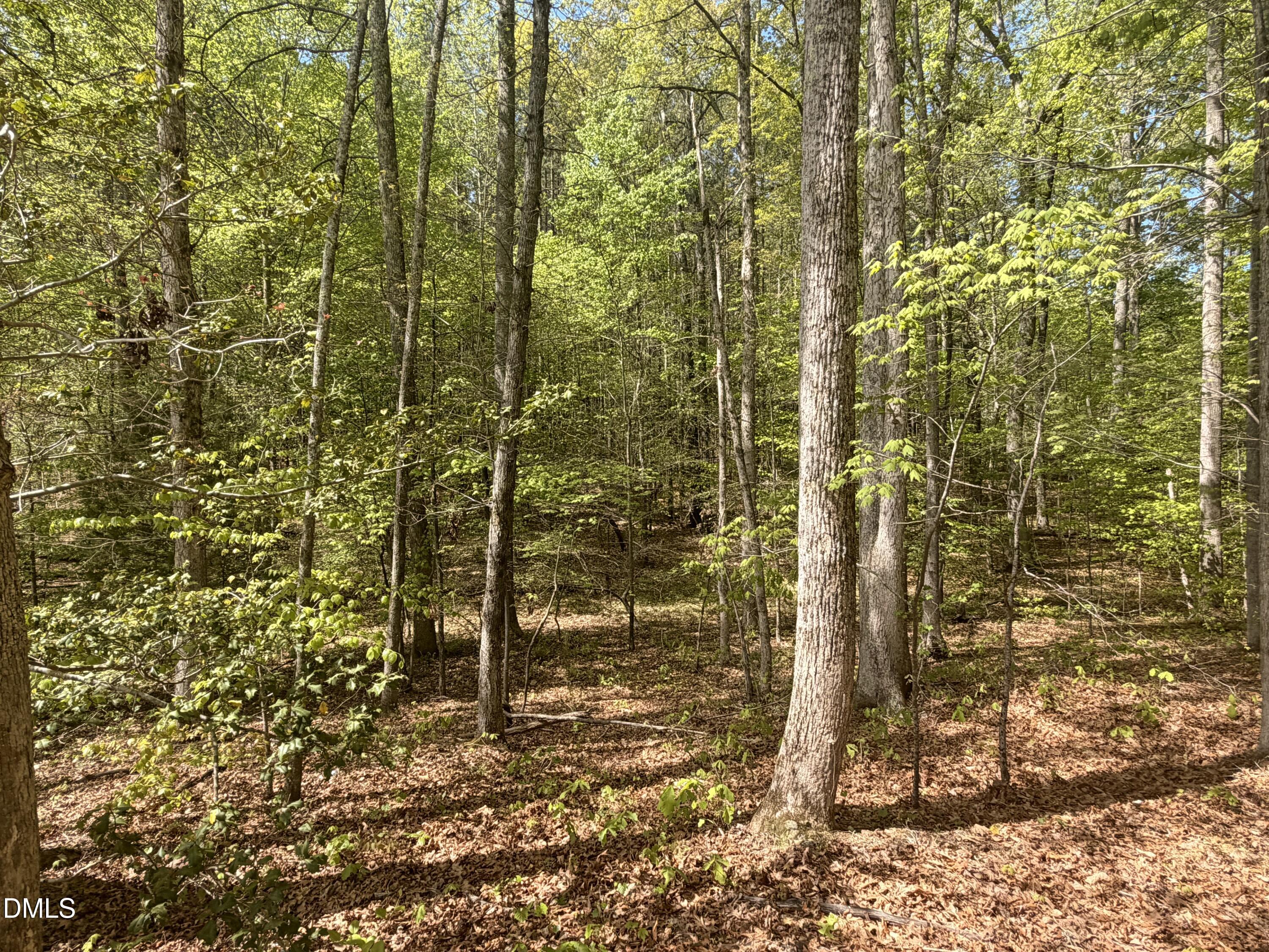 4 Plantation Property Photo 1