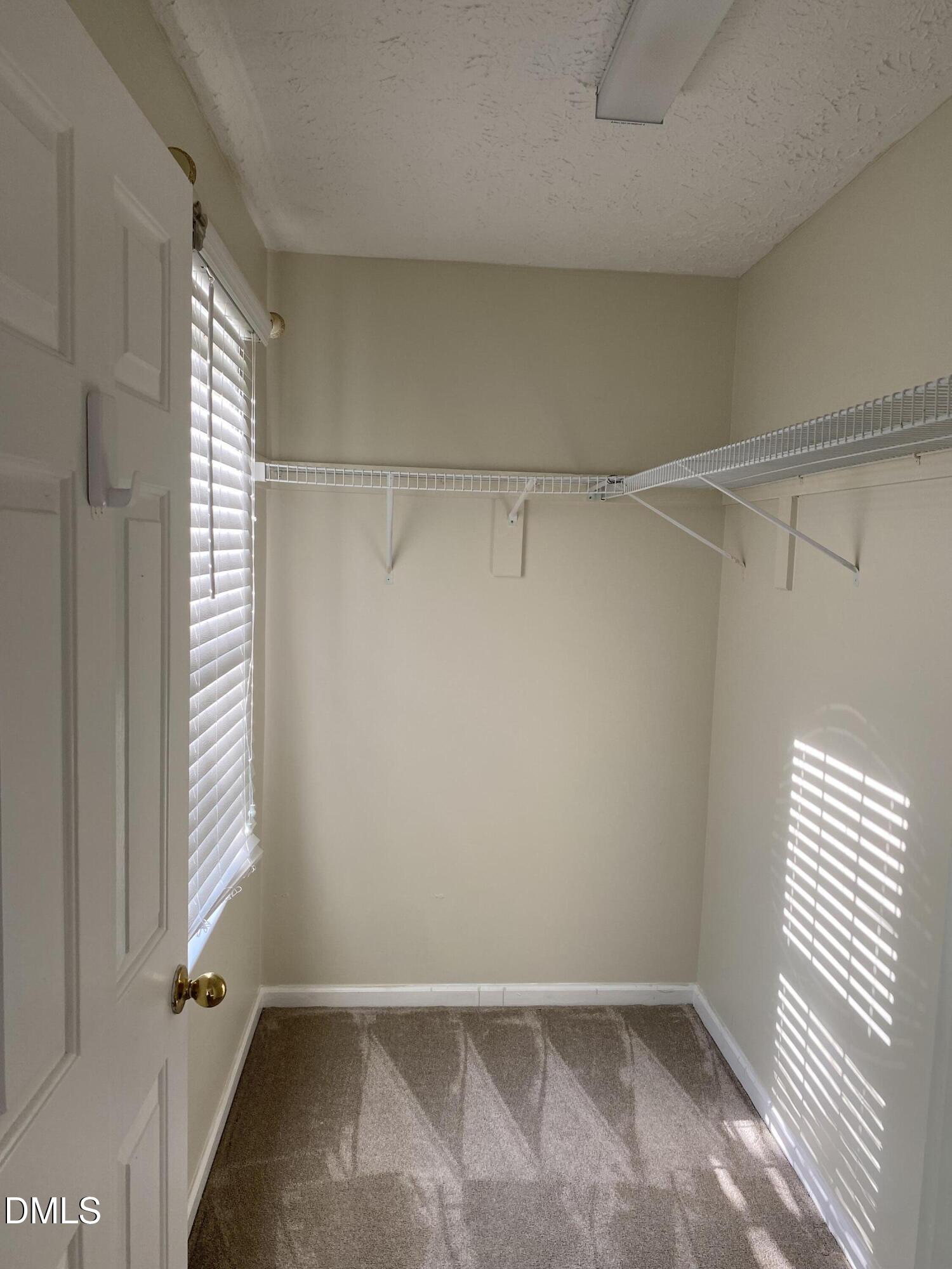 118 Vail Springs Court Property Photo 12