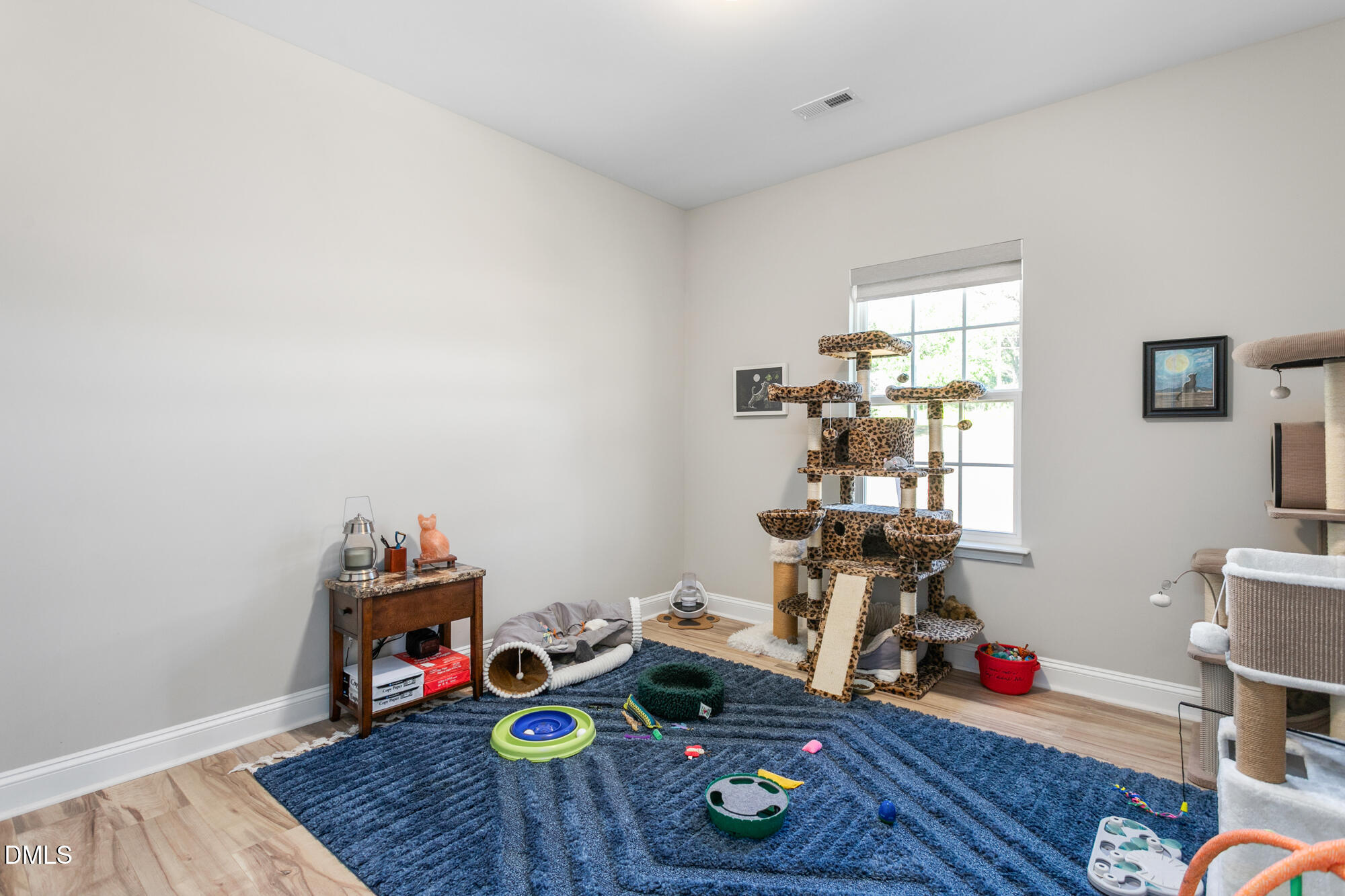 5171 Salem Church Road Property Photo 32