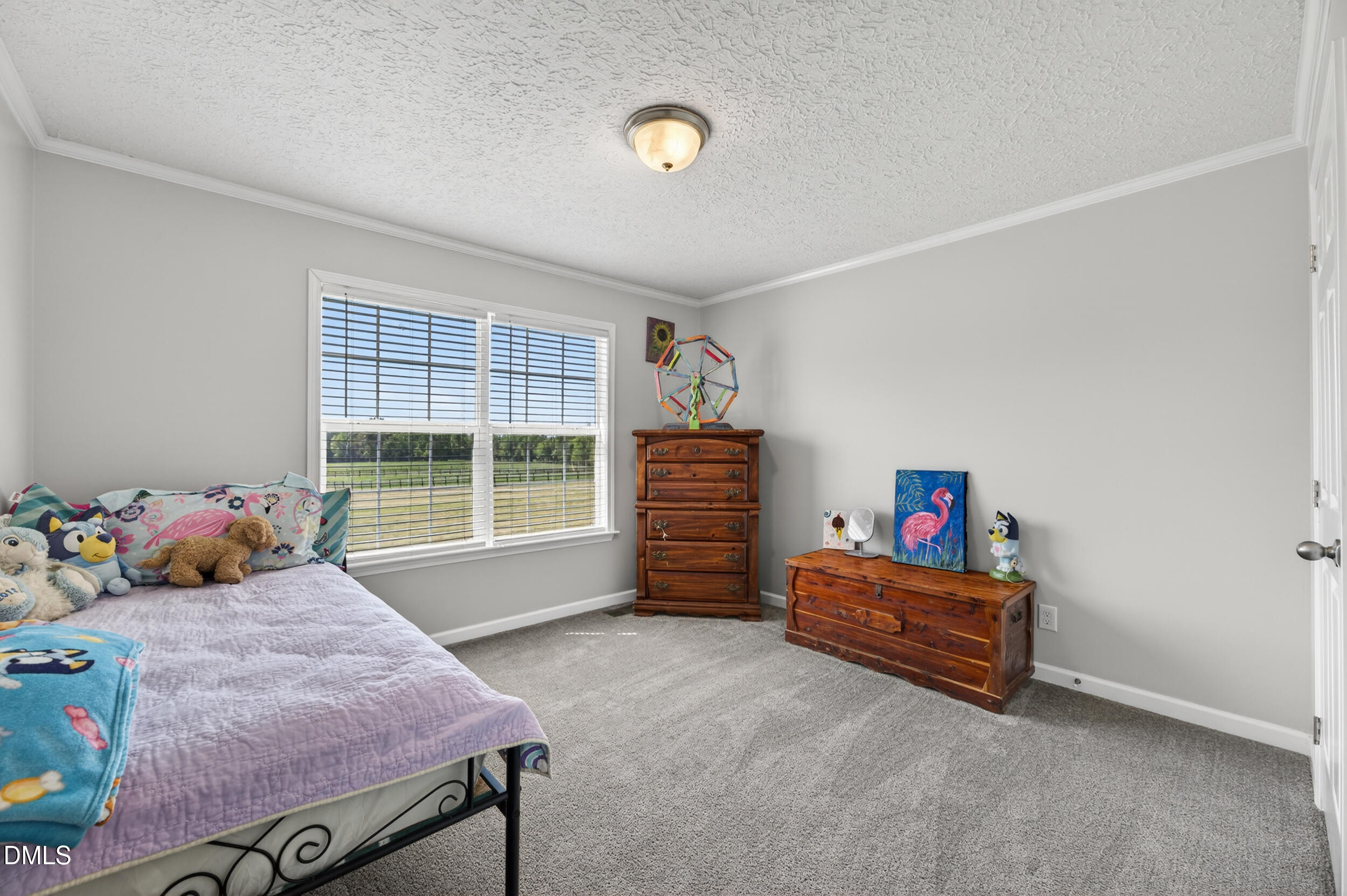 890 Will Brown Road Property Photo 19