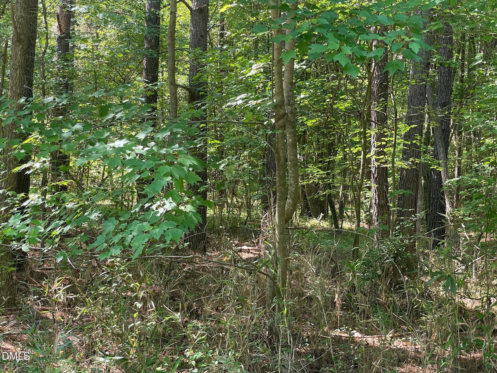 0 N Landmark Road Property Photo 2