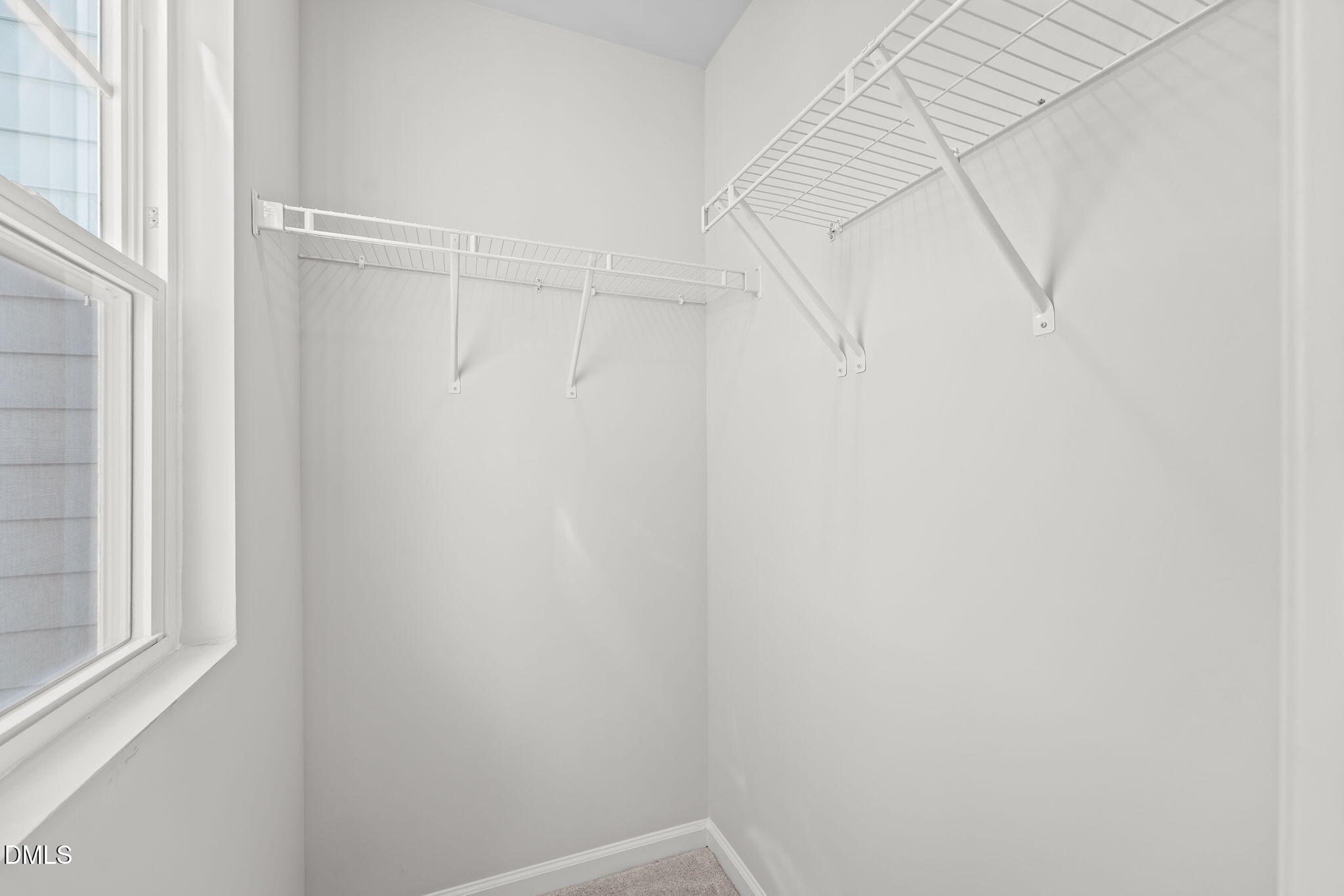 737 Painted Daisy Way Property Photo 19