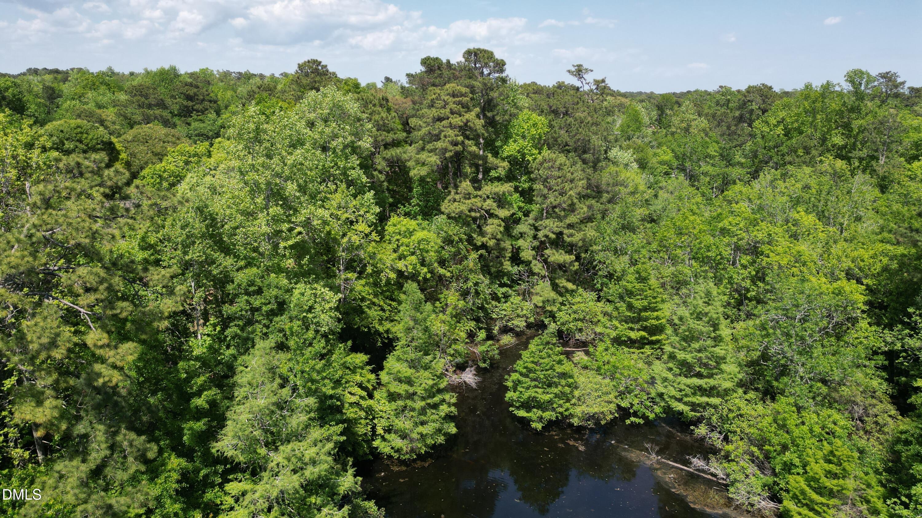Lot A Coots Trail Property Photo 10