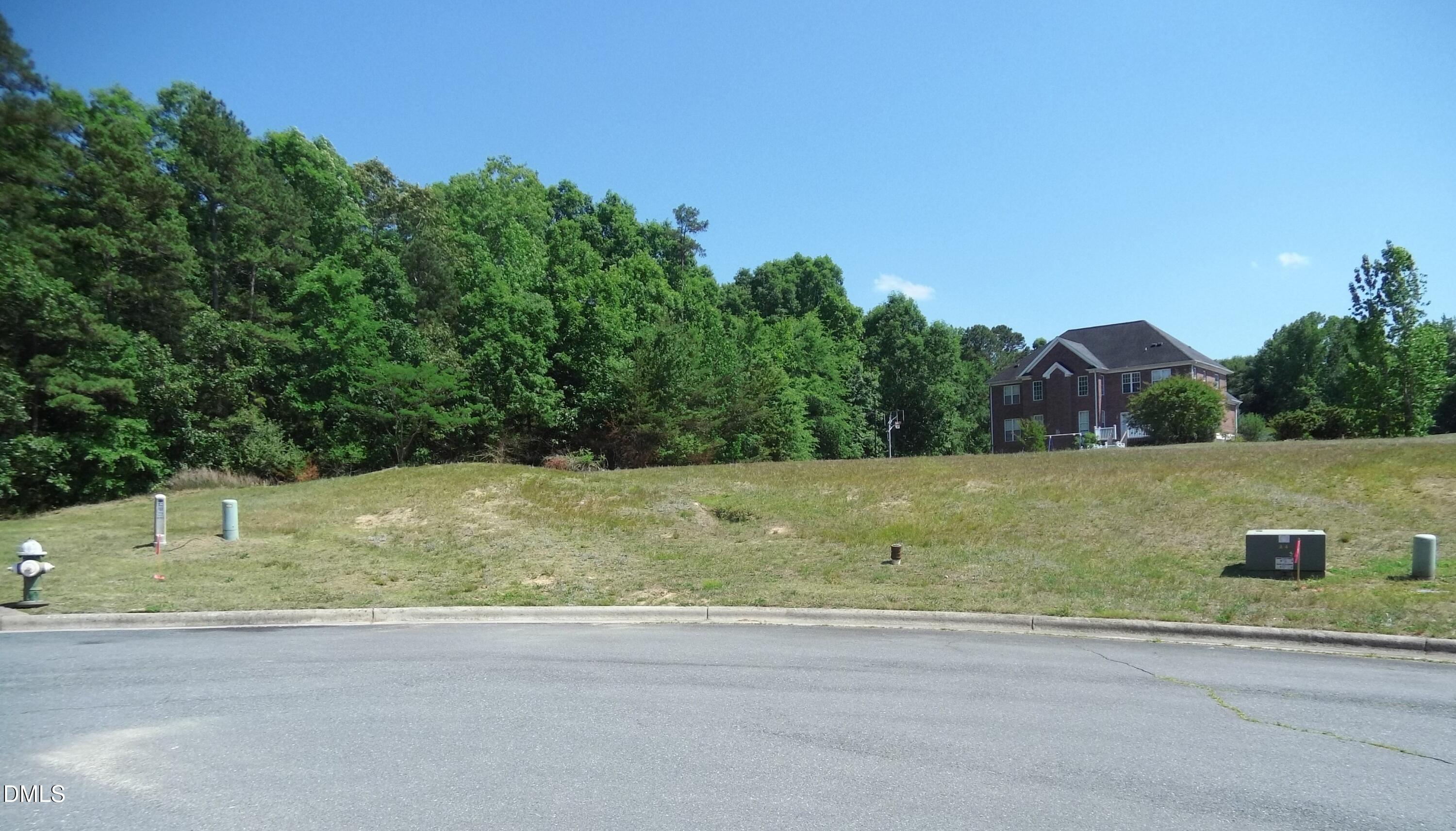 4704 Deidre Tyler Court Property Photo 1