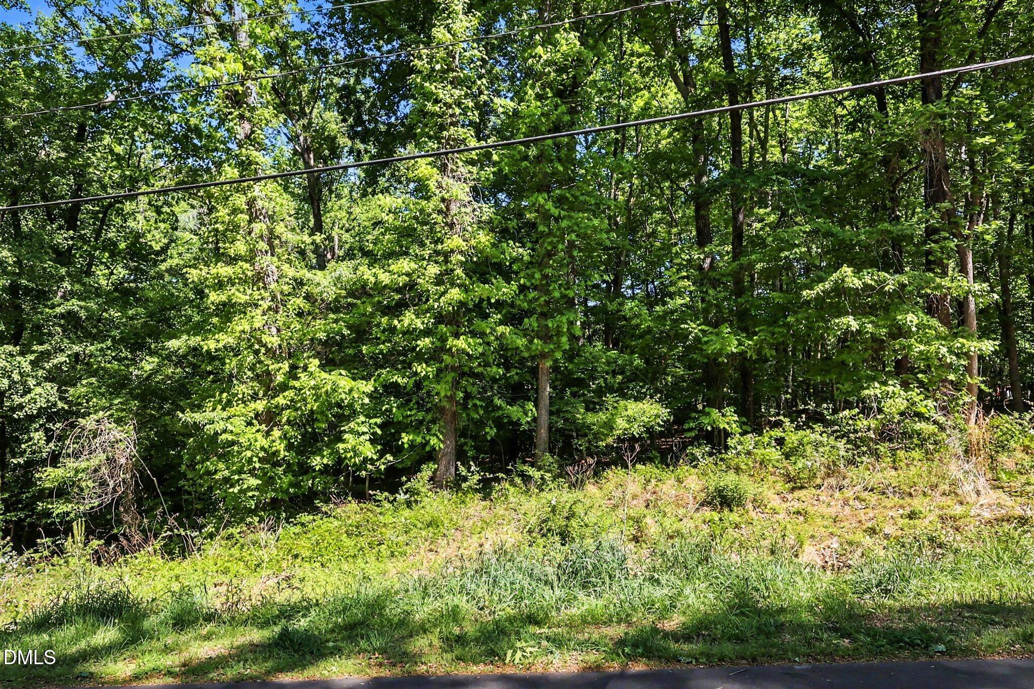 2202 Mont Haven Drive Property Photo 4