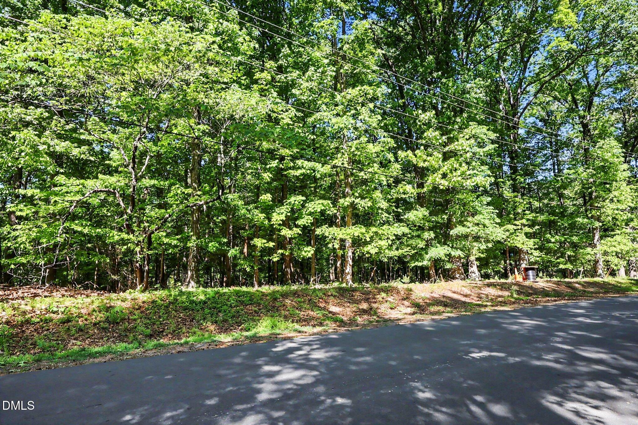 2202 Mont Haven Drive Property Photo 5