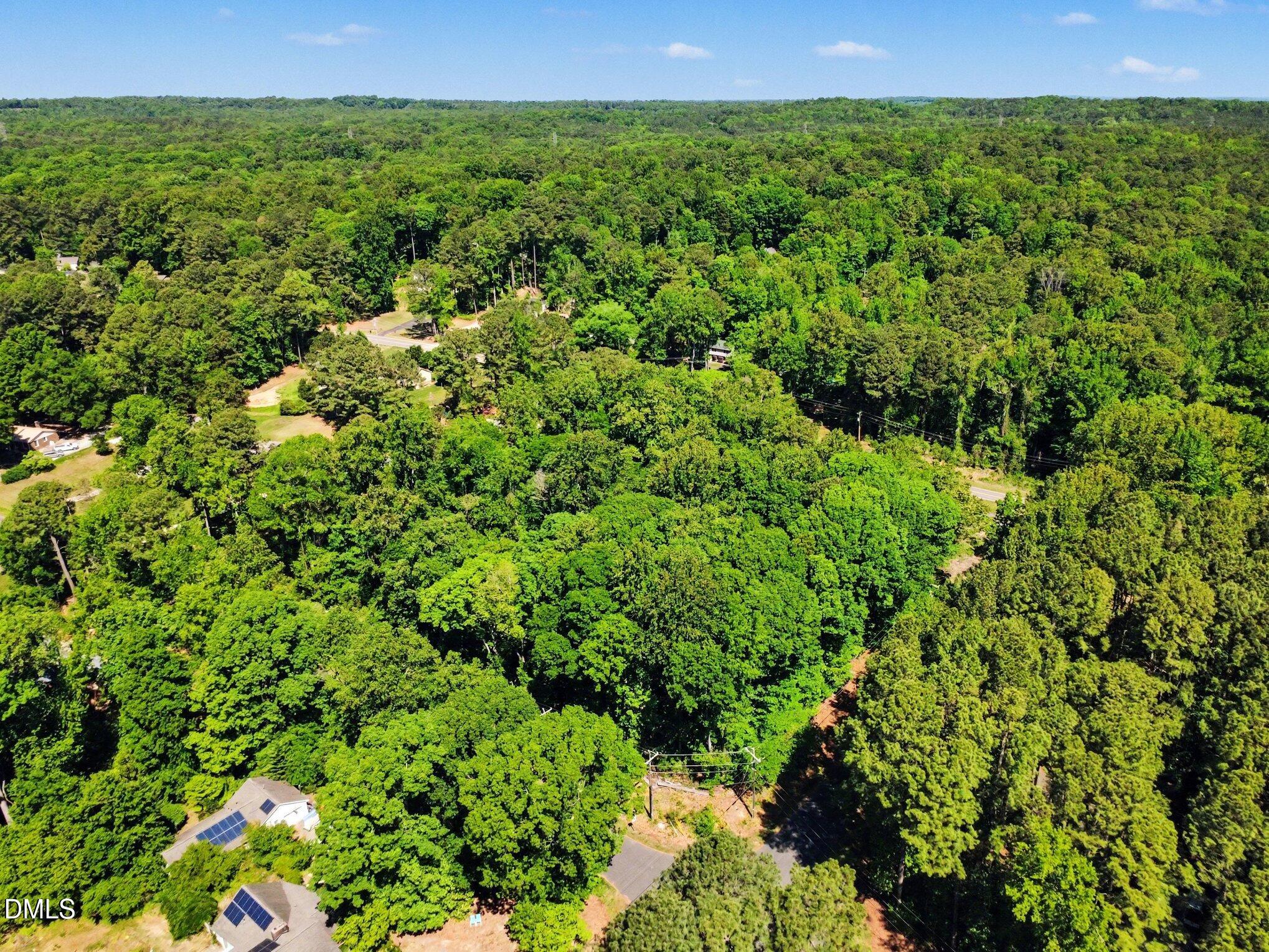 2202 Mont Haven Drive Property Photo 6