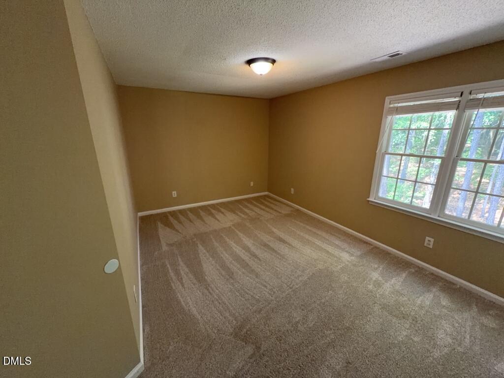 4415 Antique Lane Property Photo 10