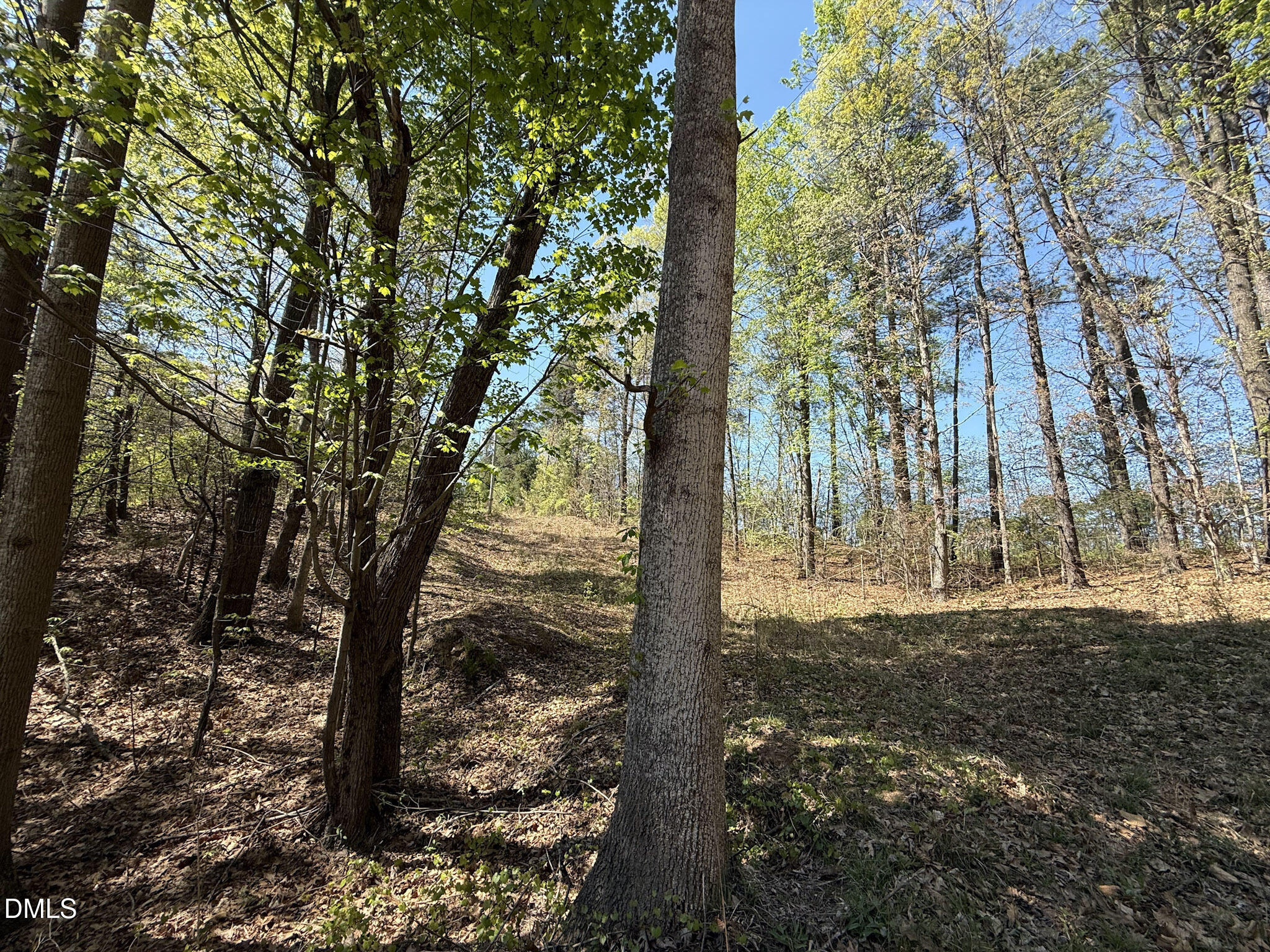 0 Mocksville Highway Property Photo 38