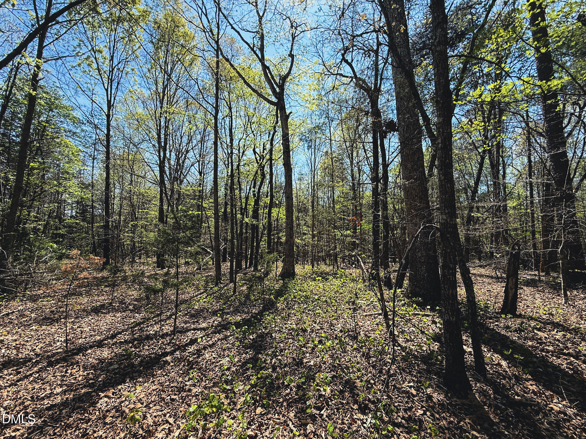 0 Mocksville Highway Property Photo 39