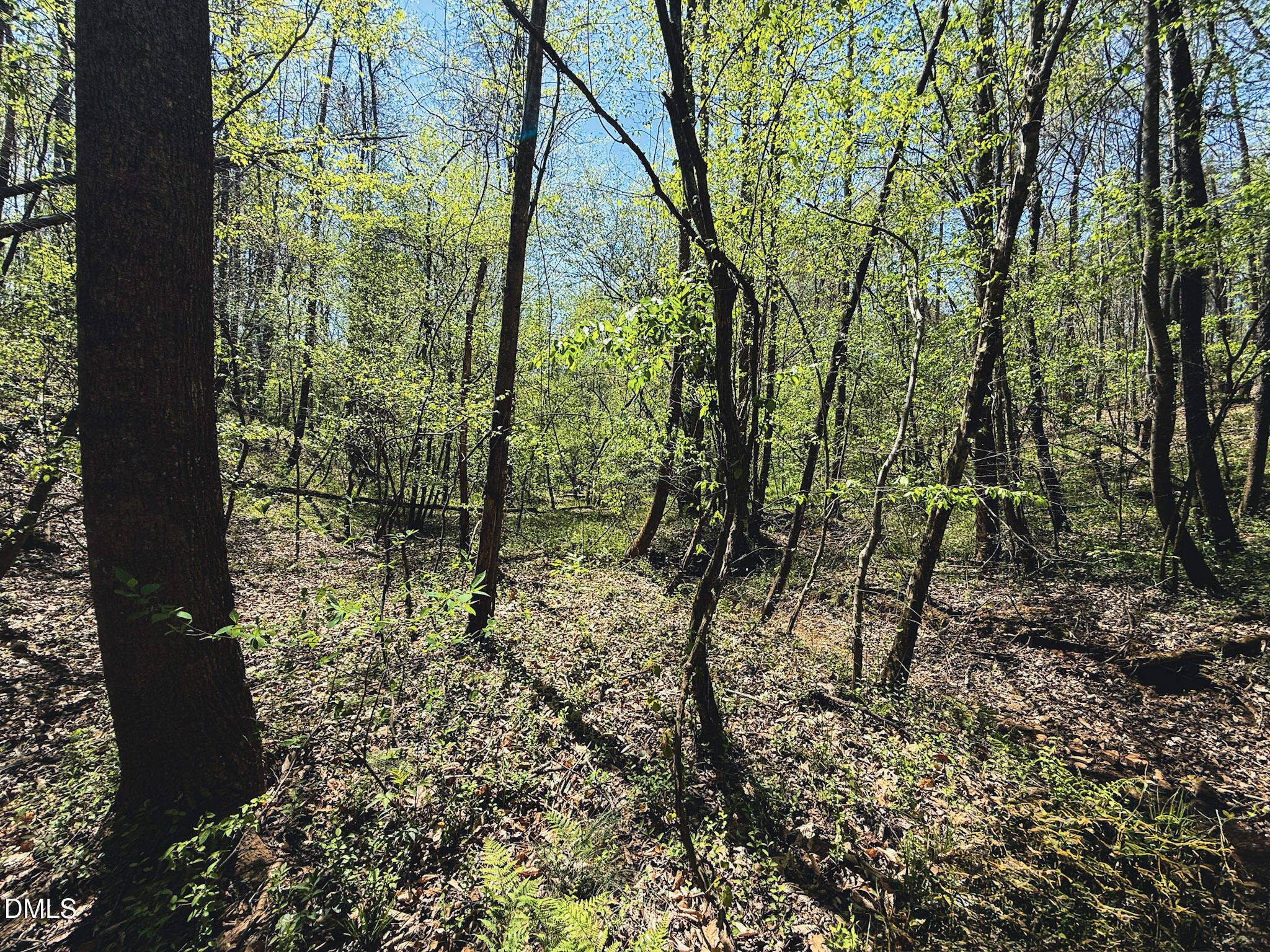 0 Mocksville Highway Property Photo 50
