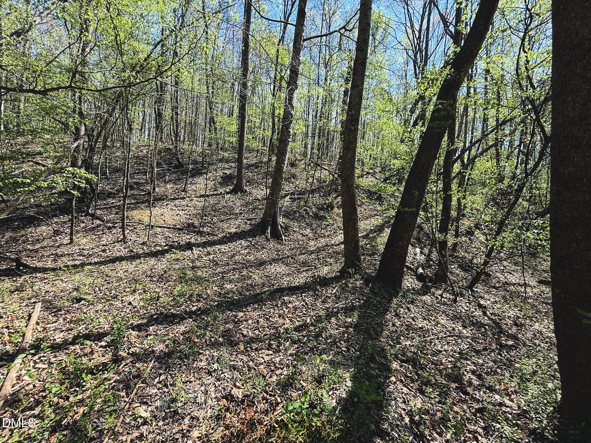 0 Mocksville Highway Property Photo 51