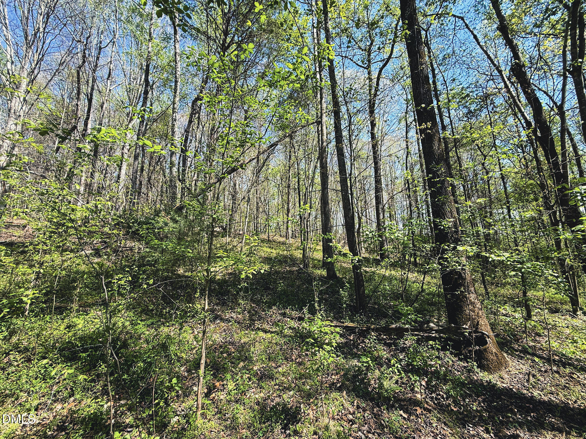 0 Mocksville Highway Property Photo 52