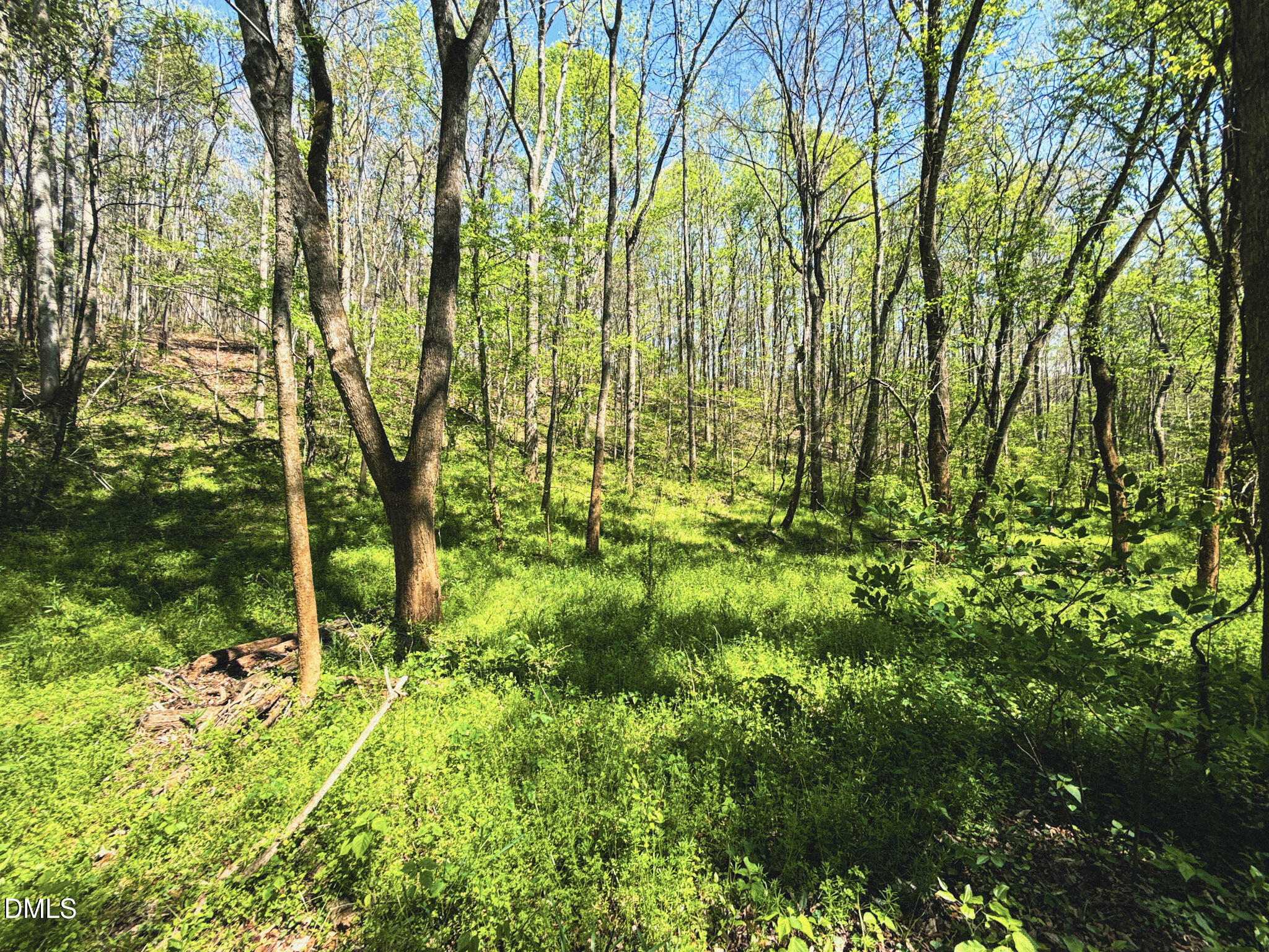 0 Mocksville Highway Property Photo 53
