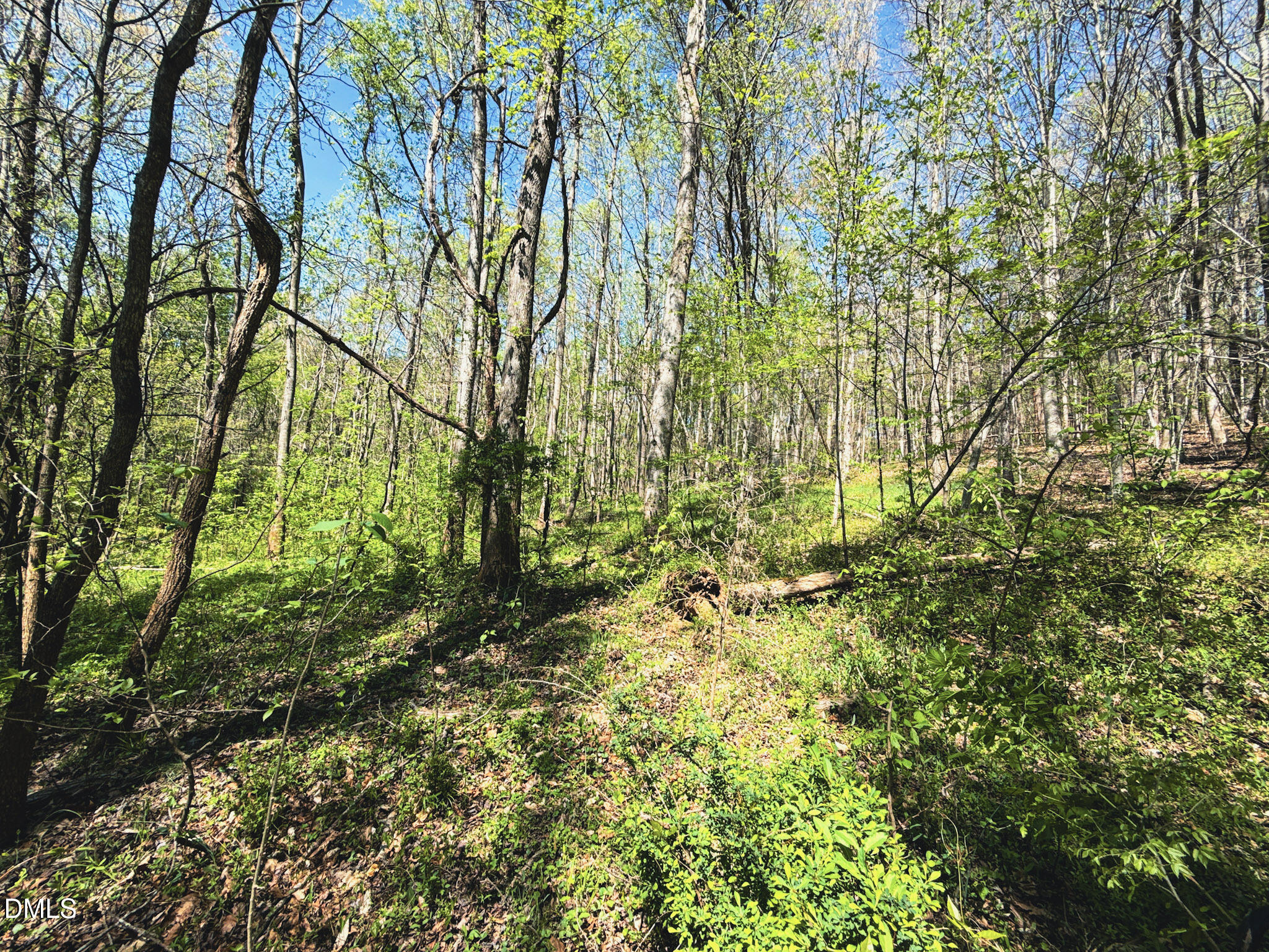 0 Mocksville Highway Property Photo 54