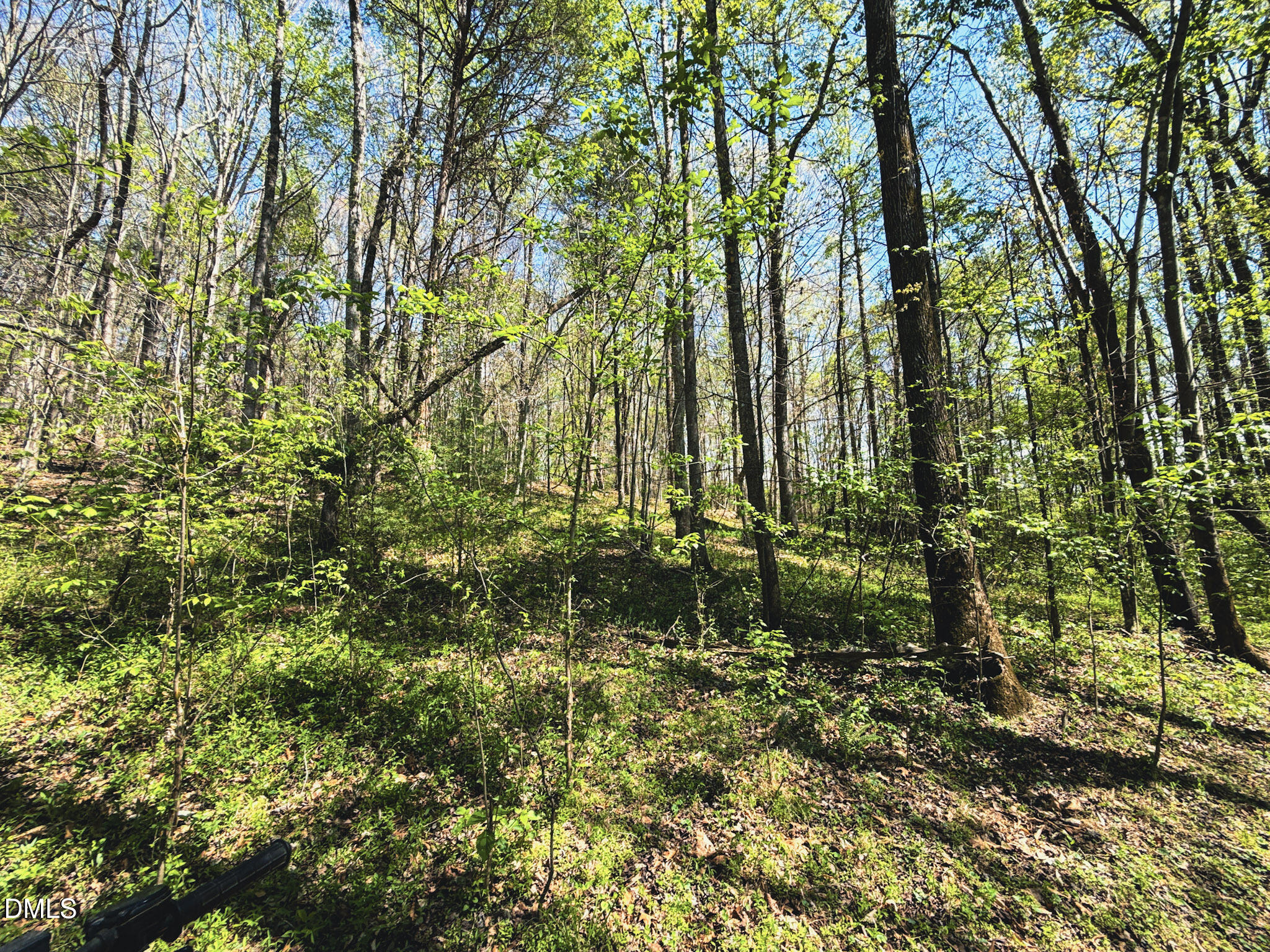 0 Mocksville Highway Property Photo 55