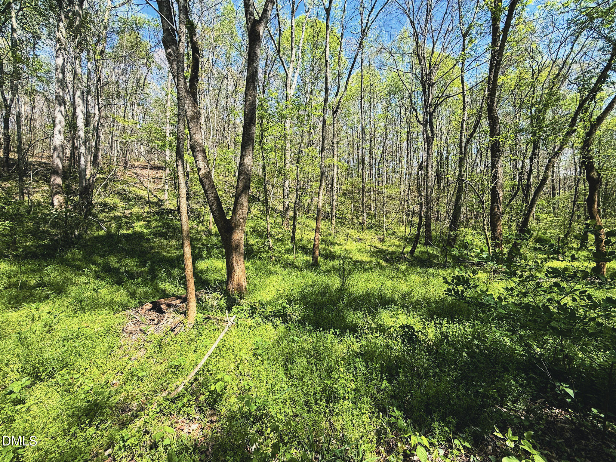 0 Mocksville Highway Property Photo 58