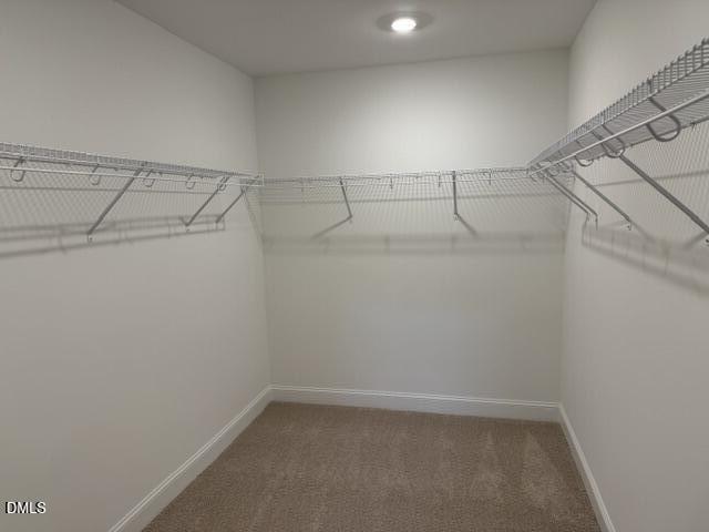 5407 Running Fox Lane Property Photo 33