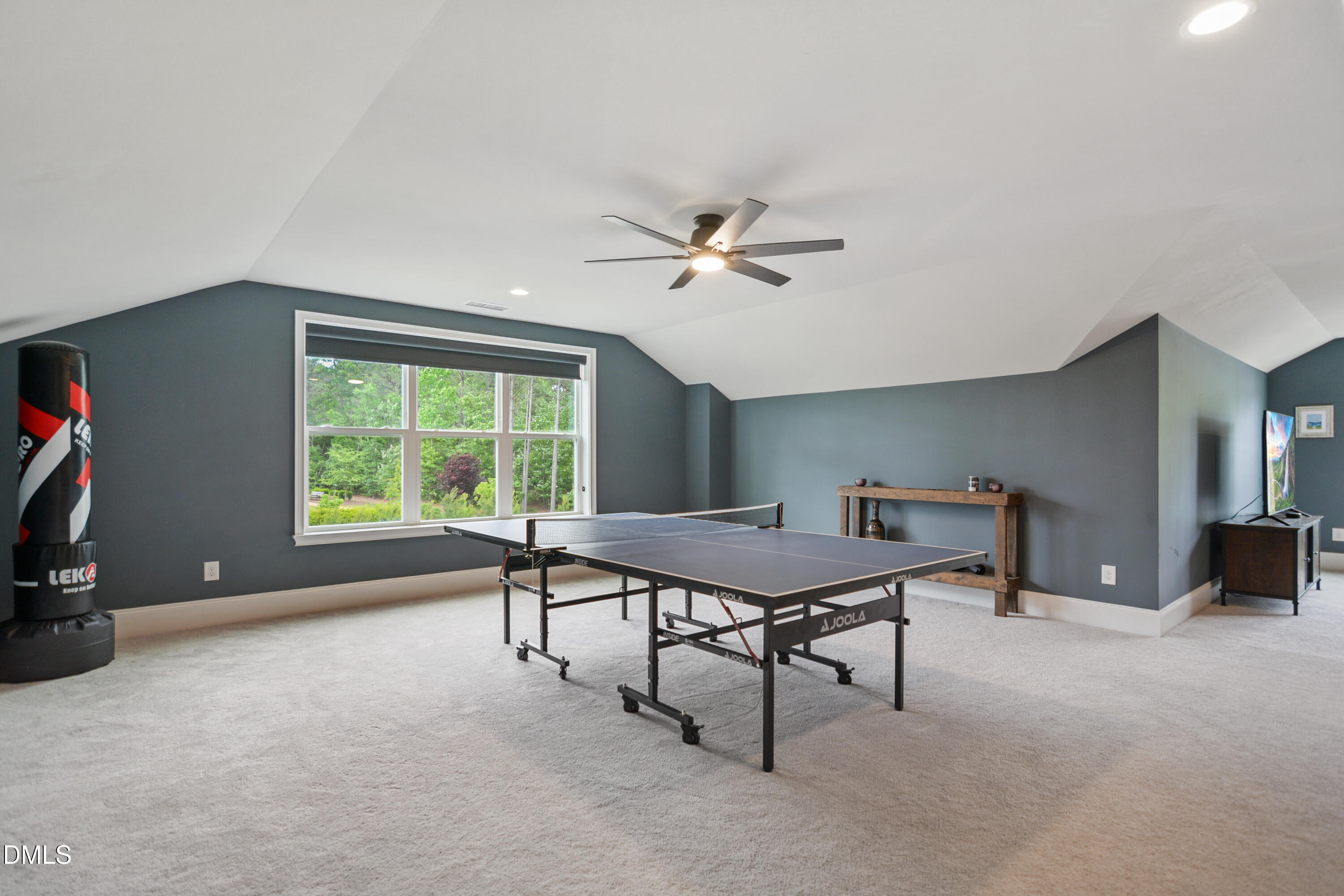113 Amberwing Court Property Photo 43