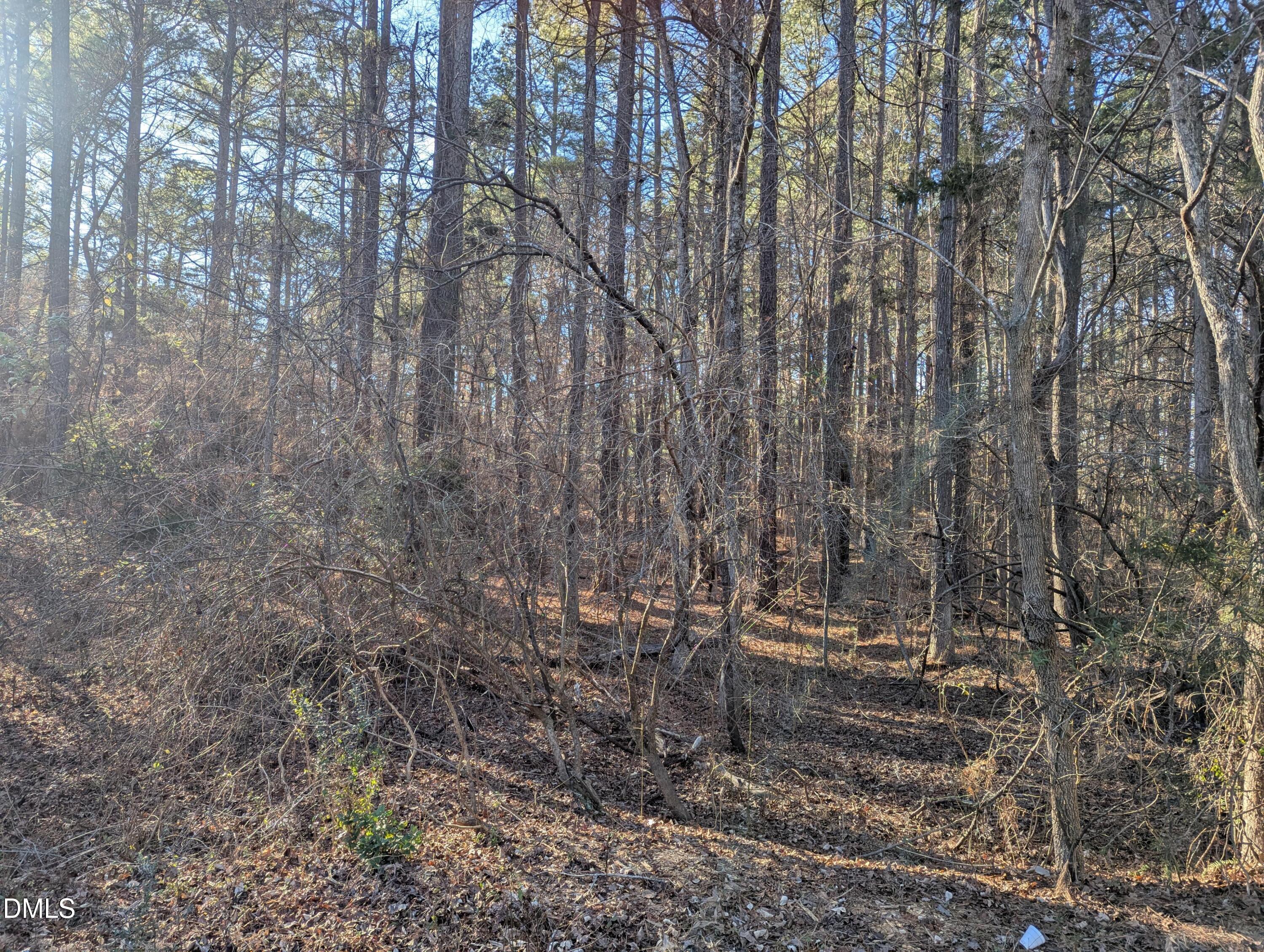 0 Lot 19 Property Photo 1