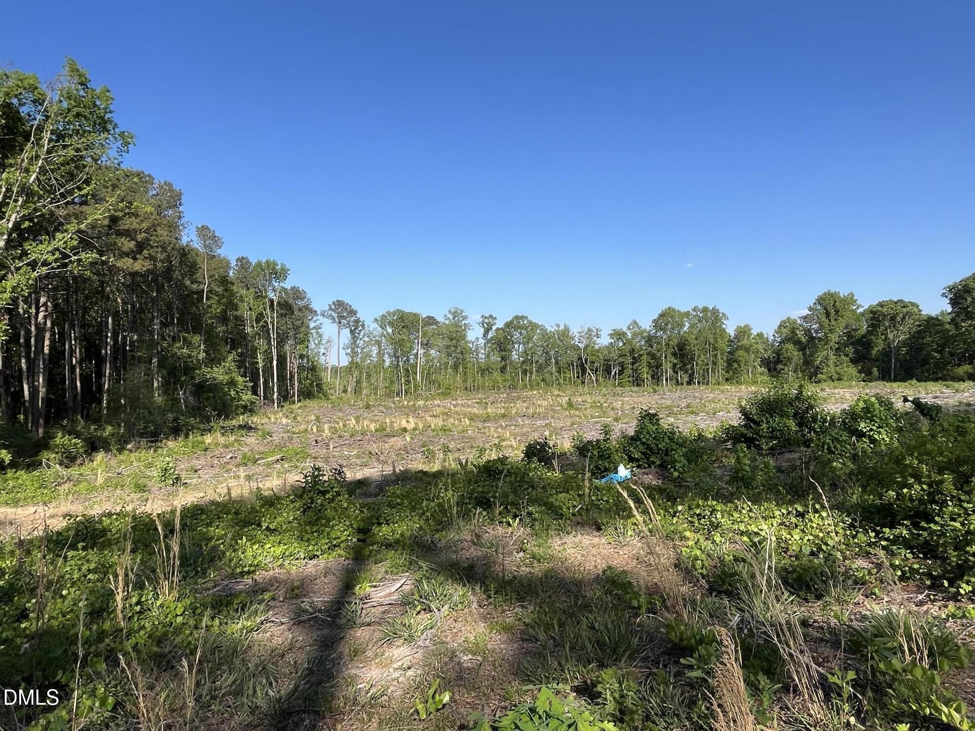 1170 Mcneill Hobbs Road Property Photo 20