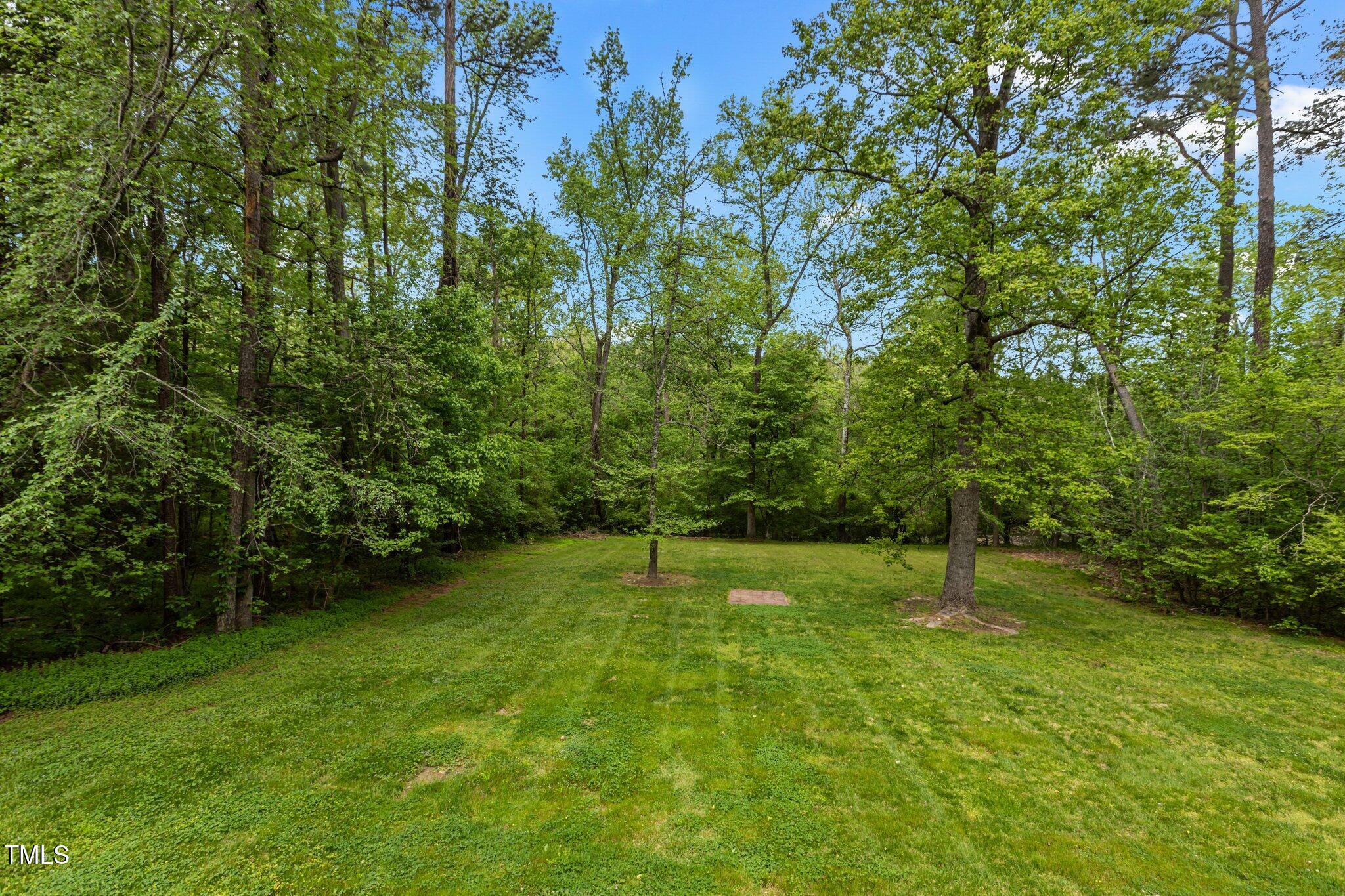 113 Denard Street Property Photo 17