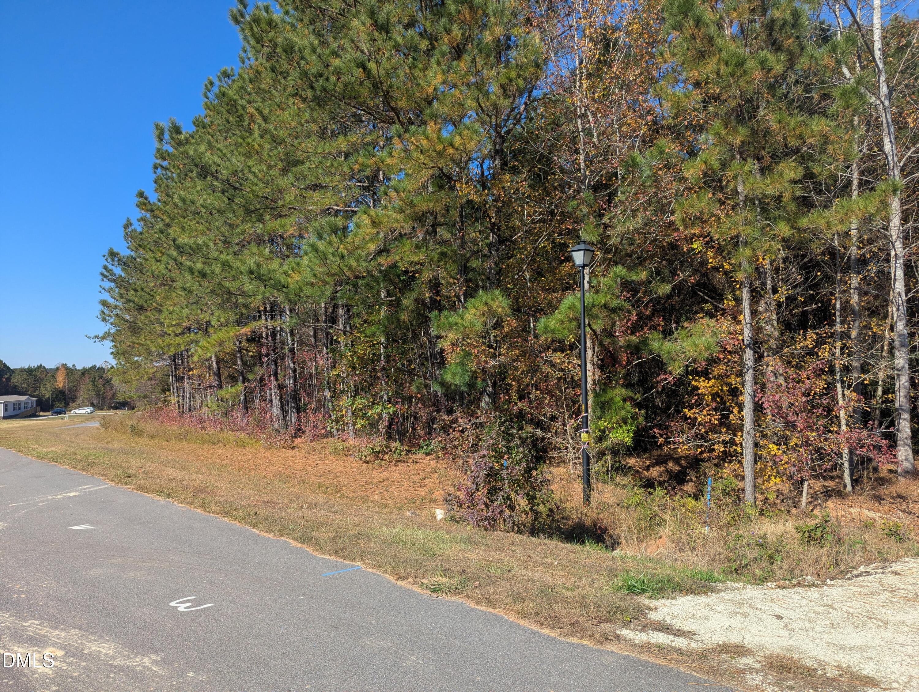 0 Sandy Plains Lane Property Photo 1
