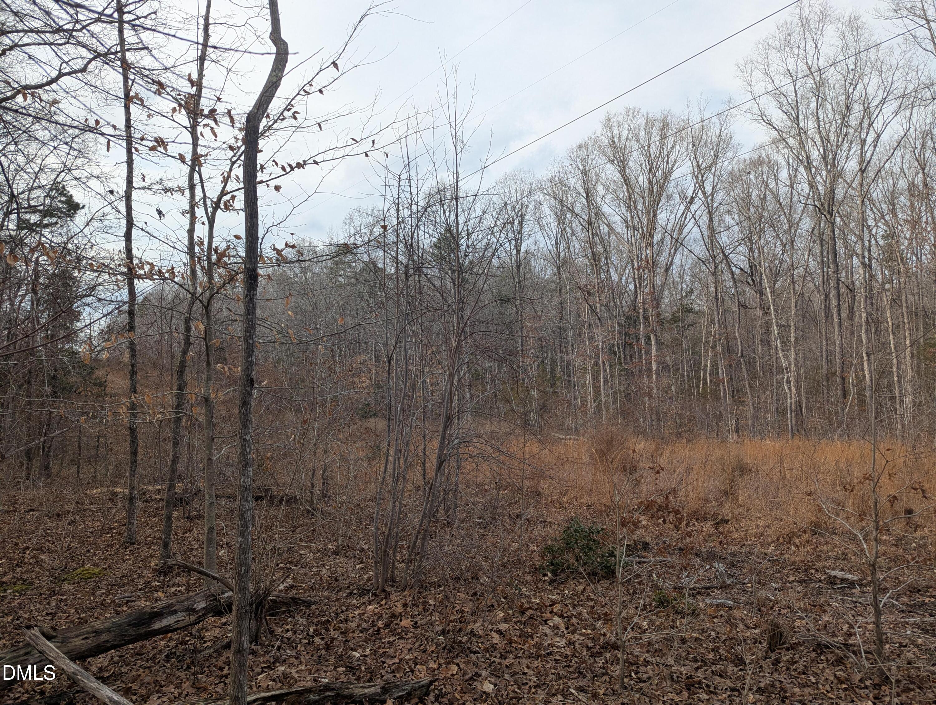 0 Dirgie Mine Road Property Photo 1