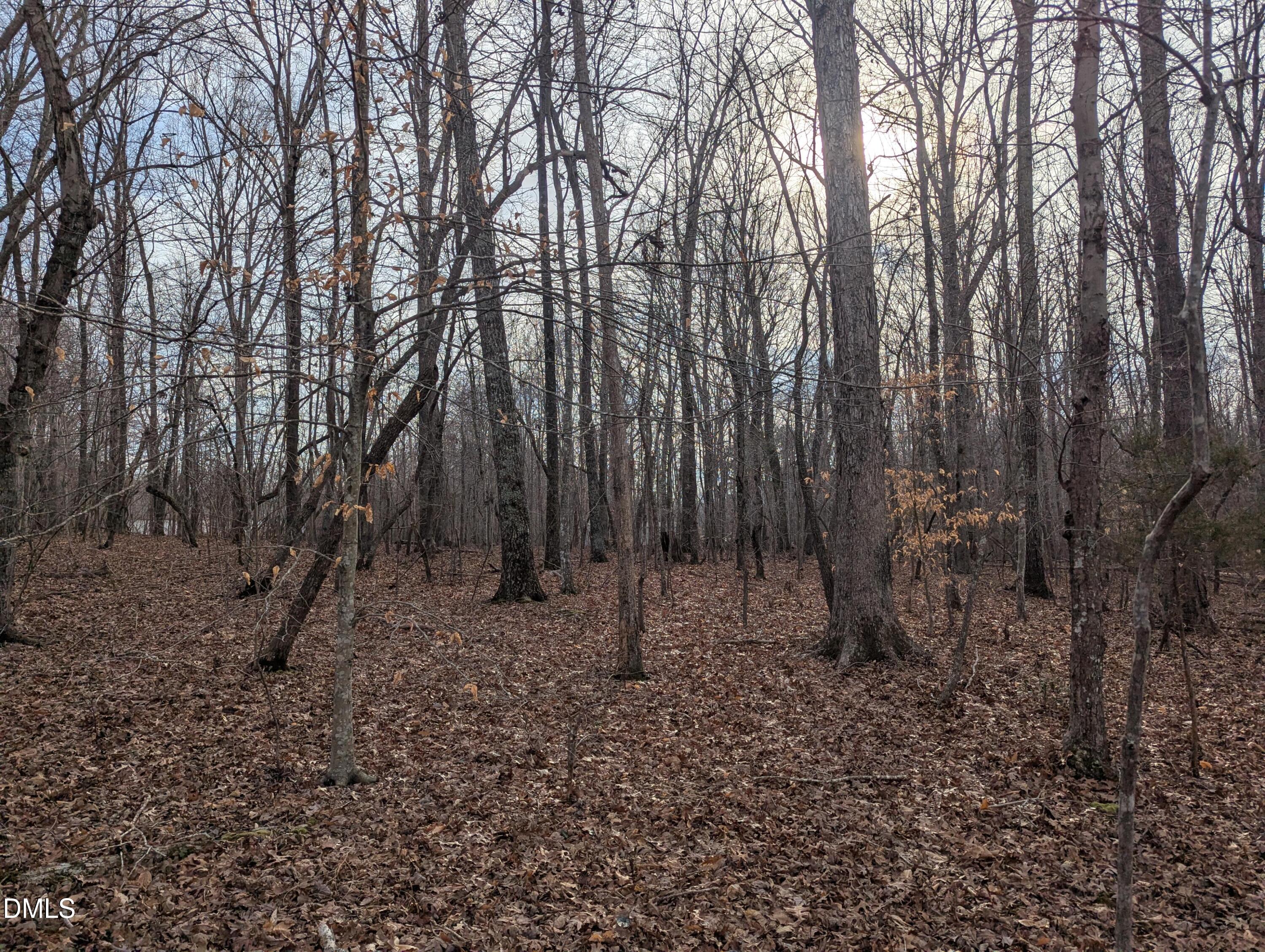 0 Dirgie Mine Road Property Photo 2