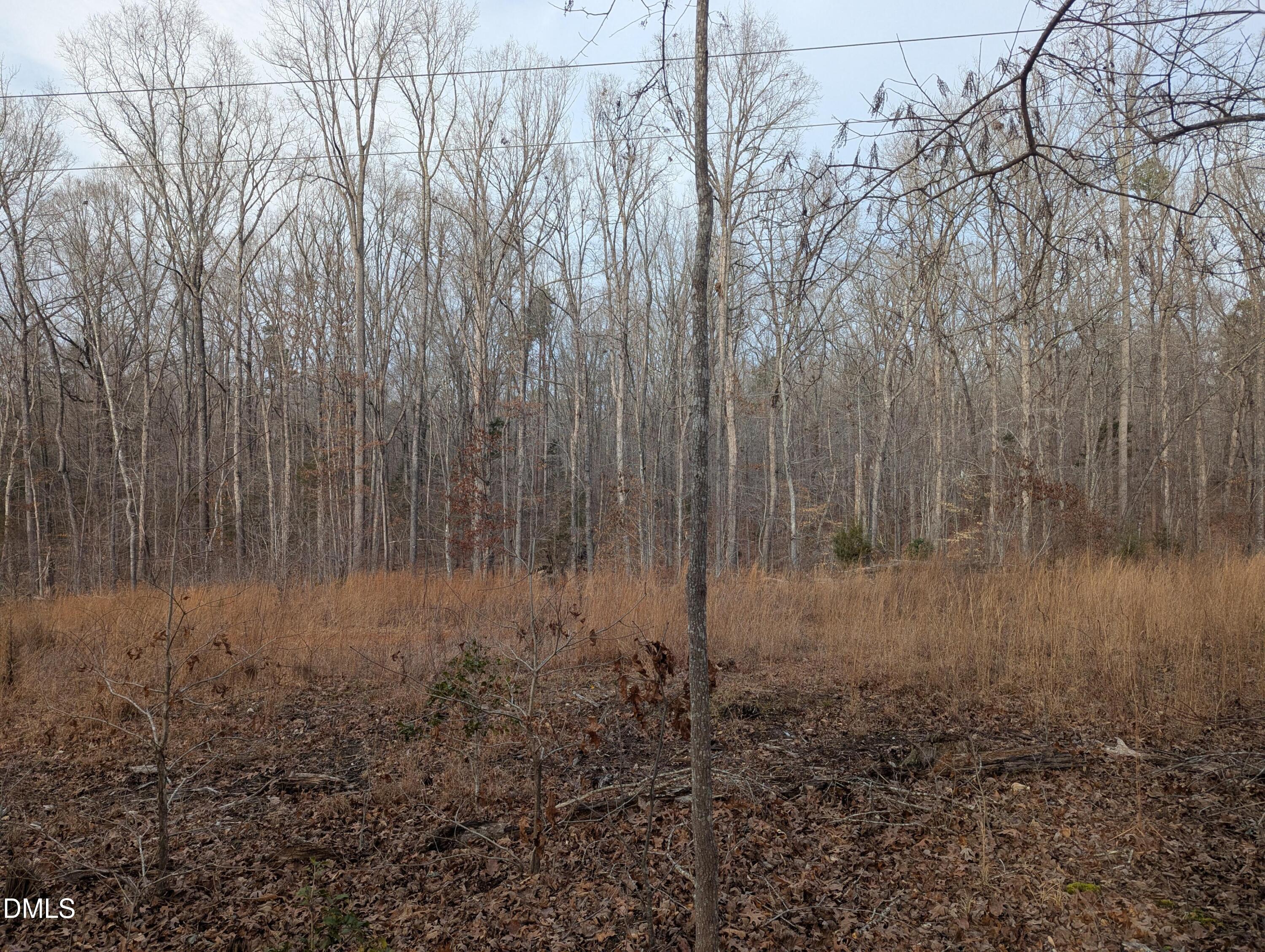 0 Dirgie Mine Road Property Photo 3