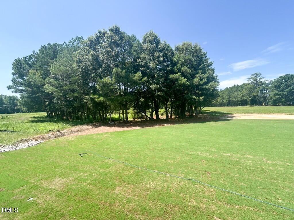 2509 Rosslare Pond Trail Property Photo 37