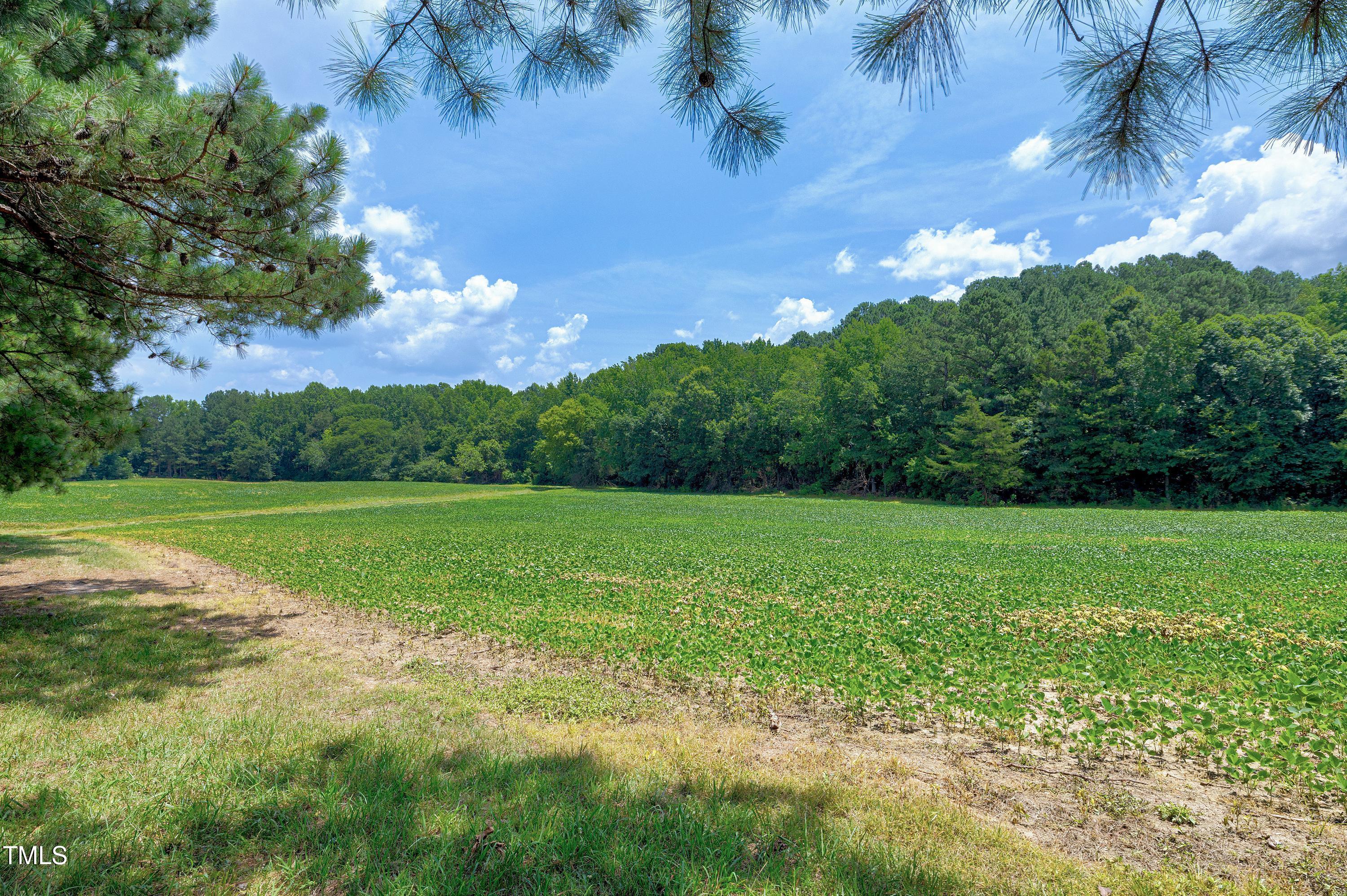 5859 Vicksboro Road Property Photo 52