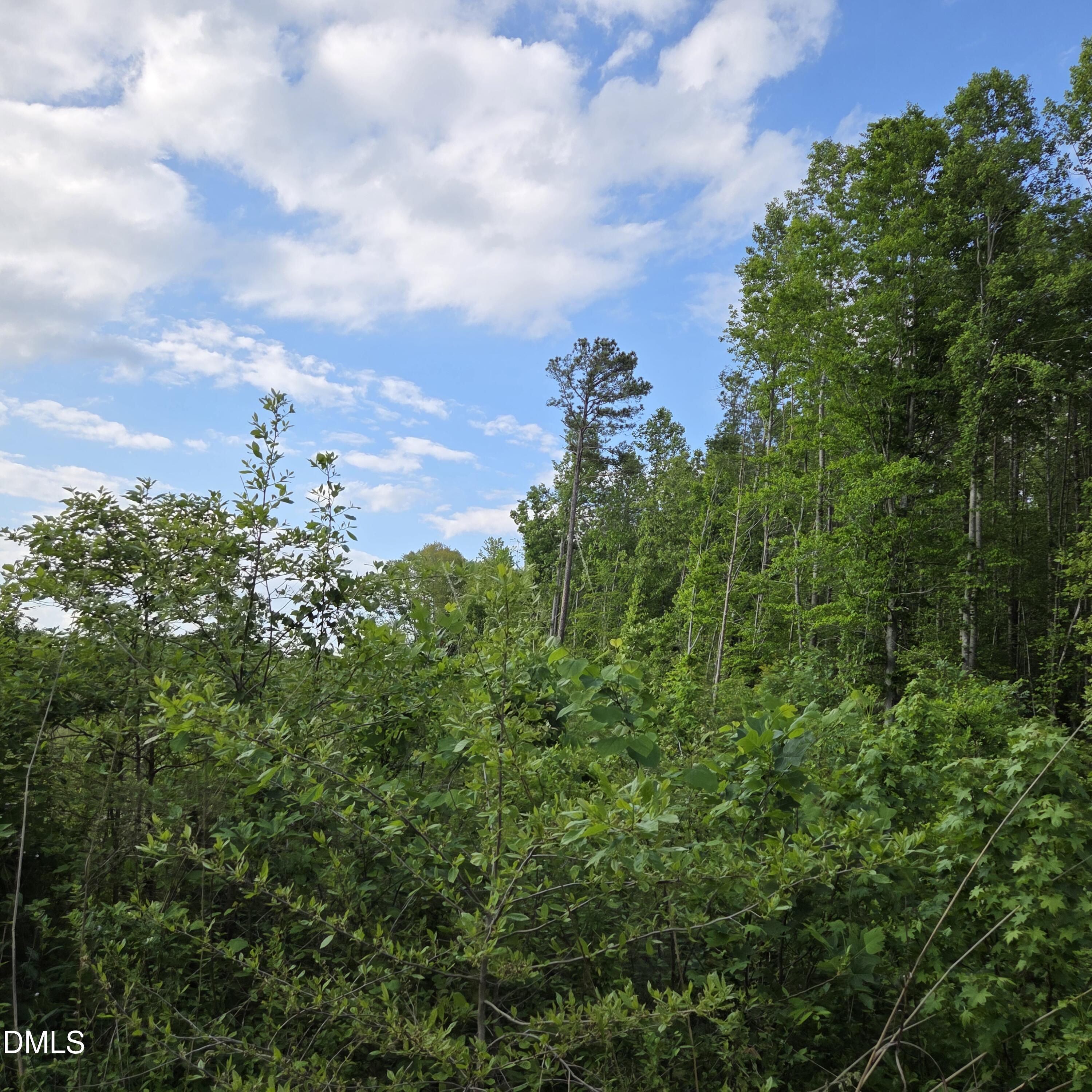 I1035b Tutelo Road Property Photo 1