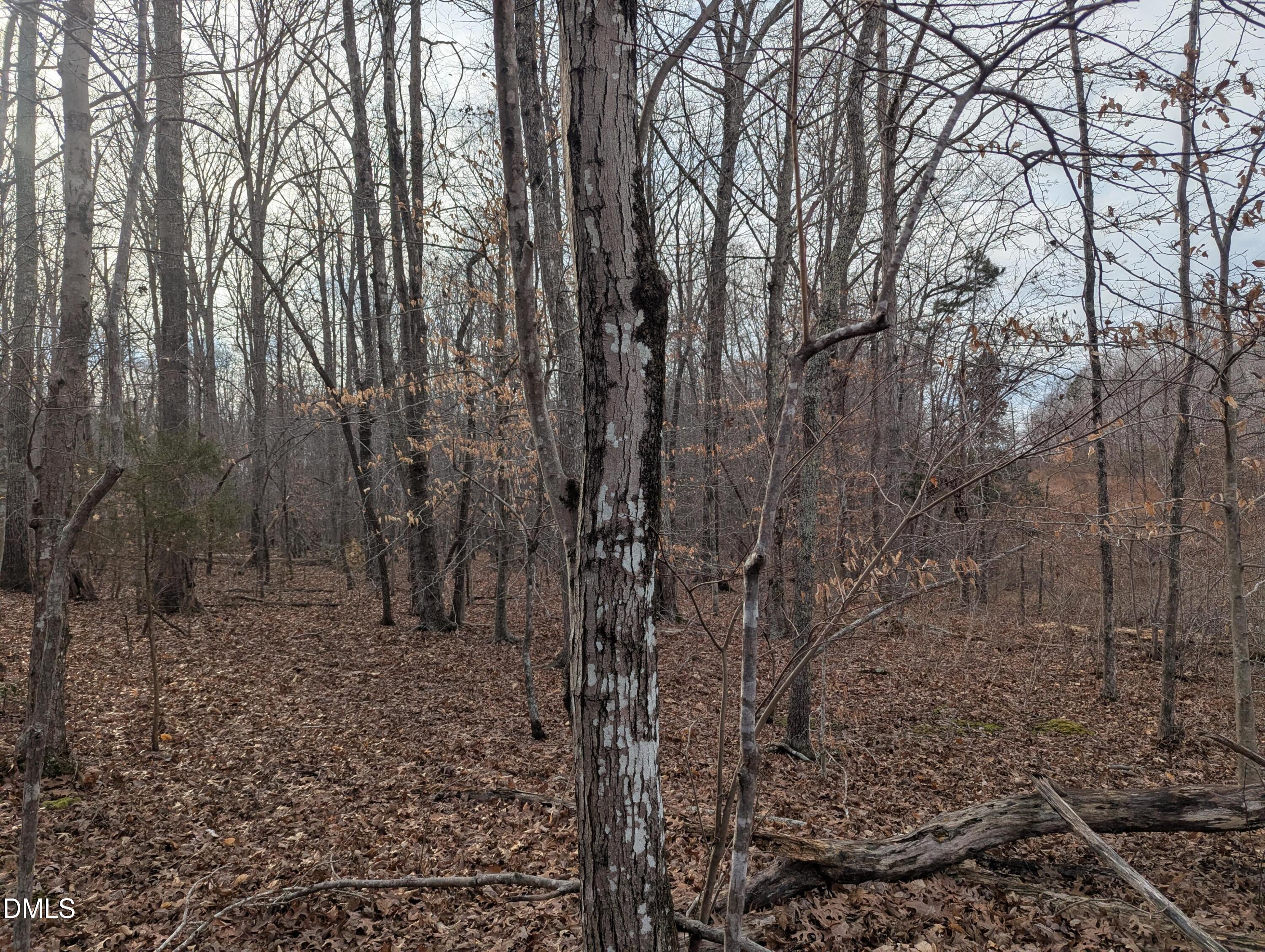 00 Dirgie Mine Road Property Photo 1