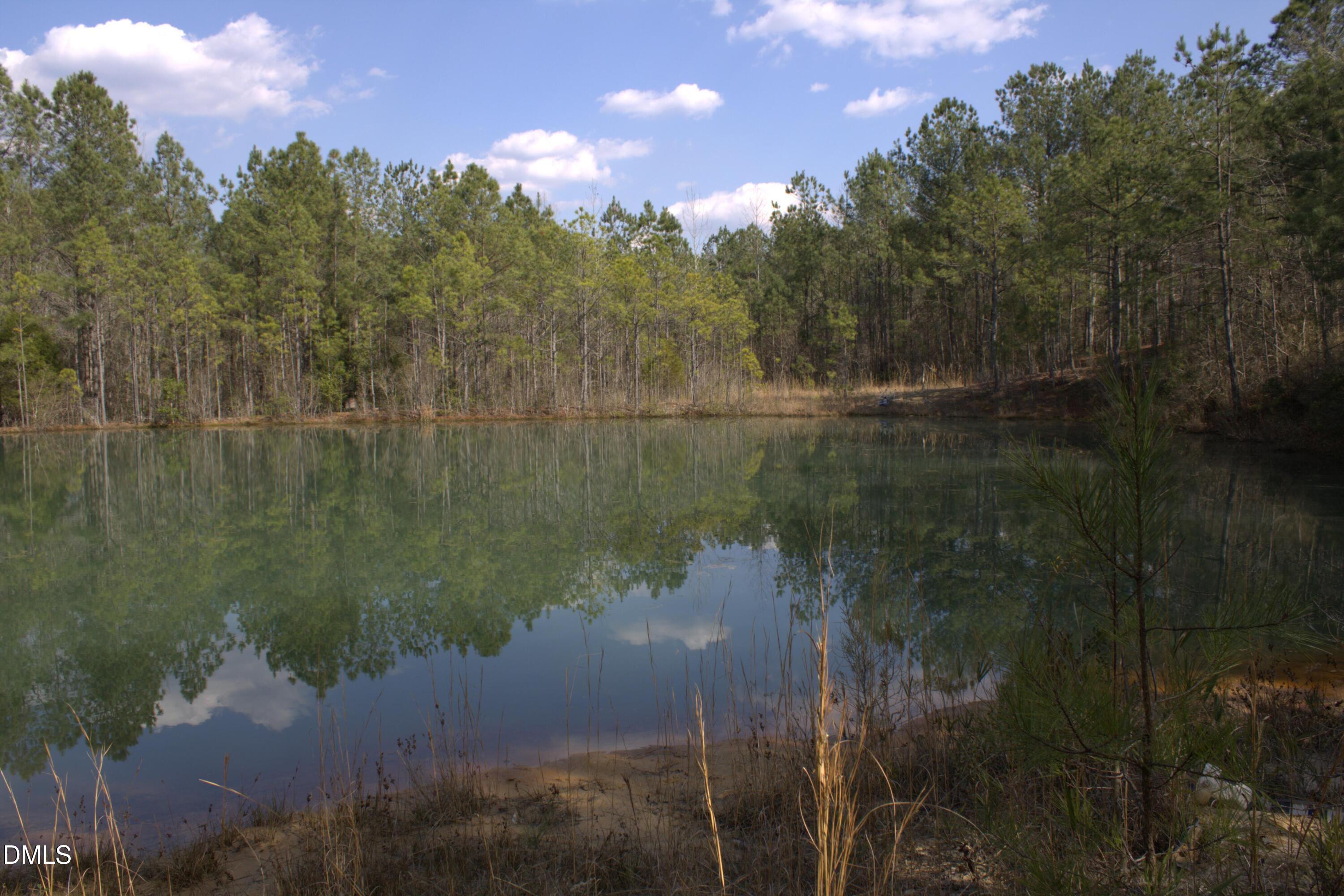 1121 D L Phillips Property Photo 1