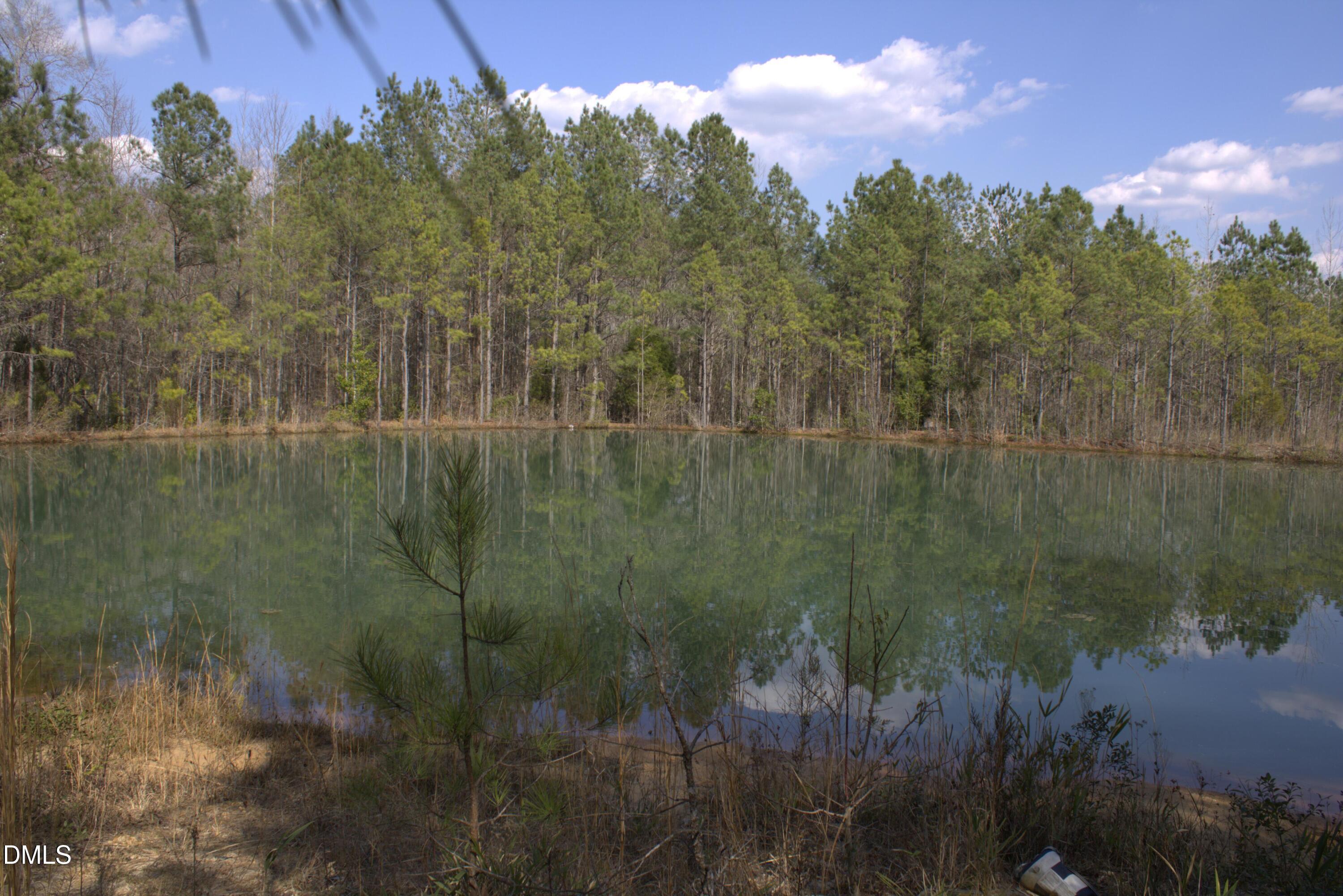 1121 D L Phillips Property Photo 16