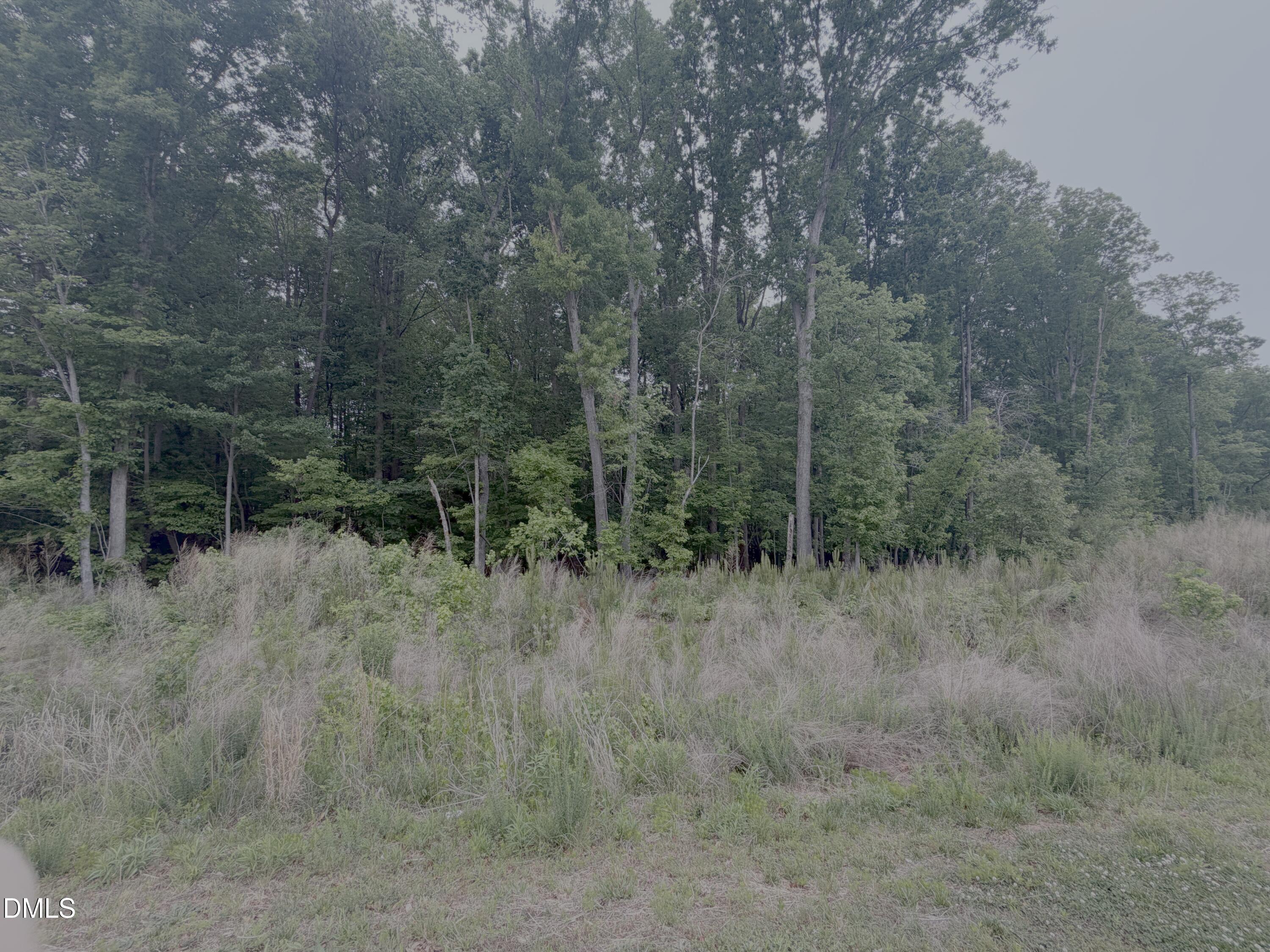 4317 Kildaire Farm Road Property Photo 3