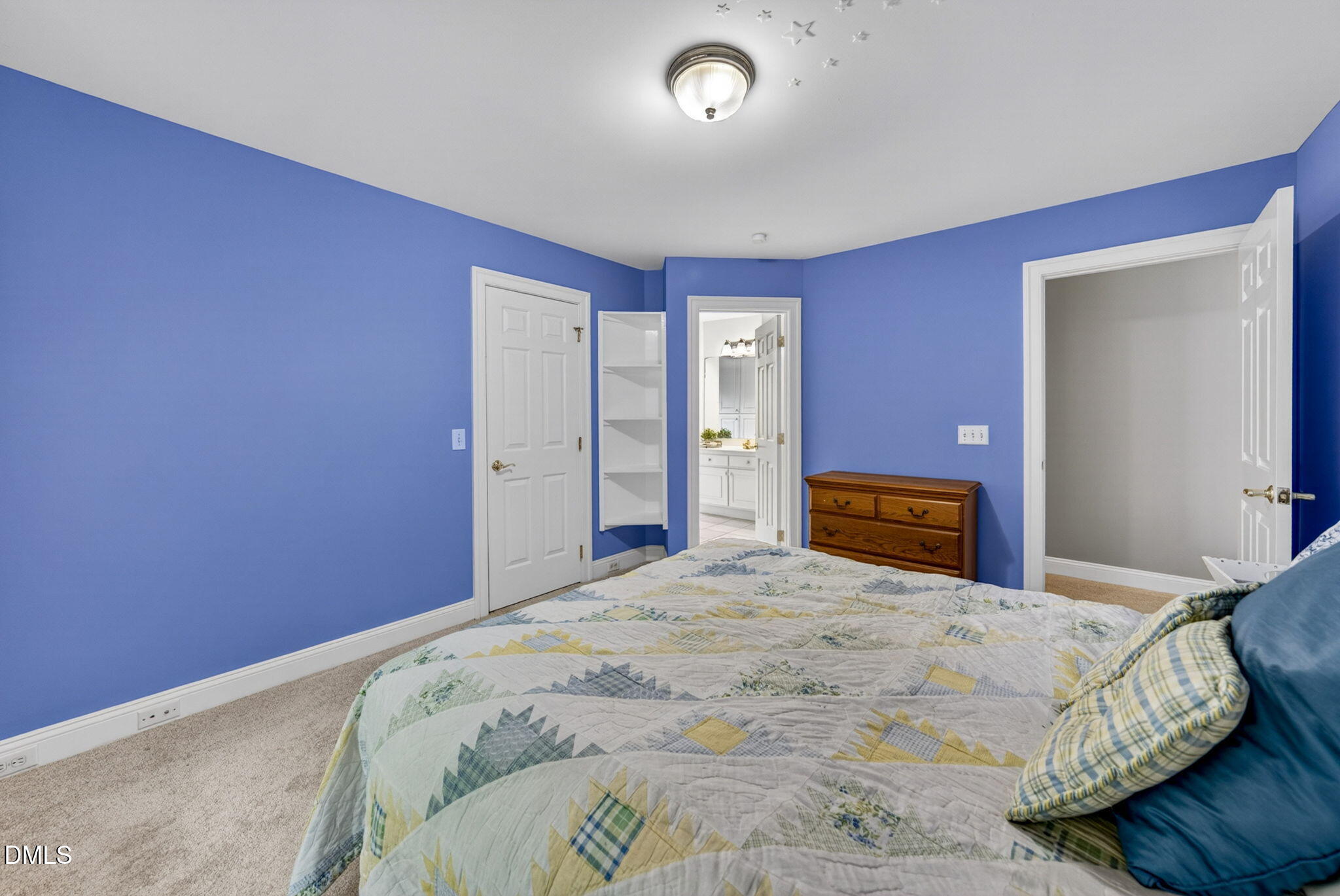 5224 Deergrass Court Property Photo 69