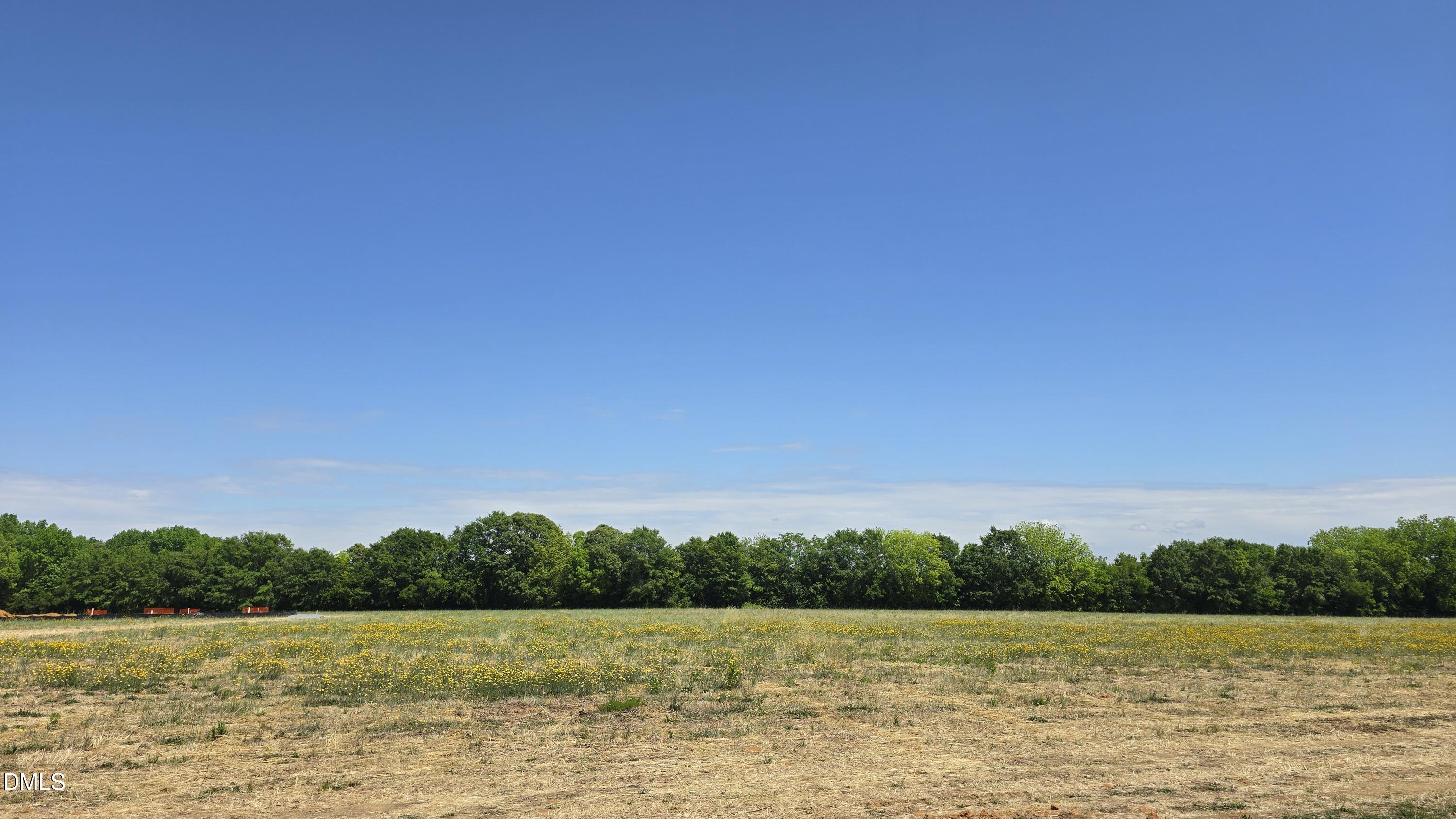 Lot 11 Dogeye Road Property Photo 11