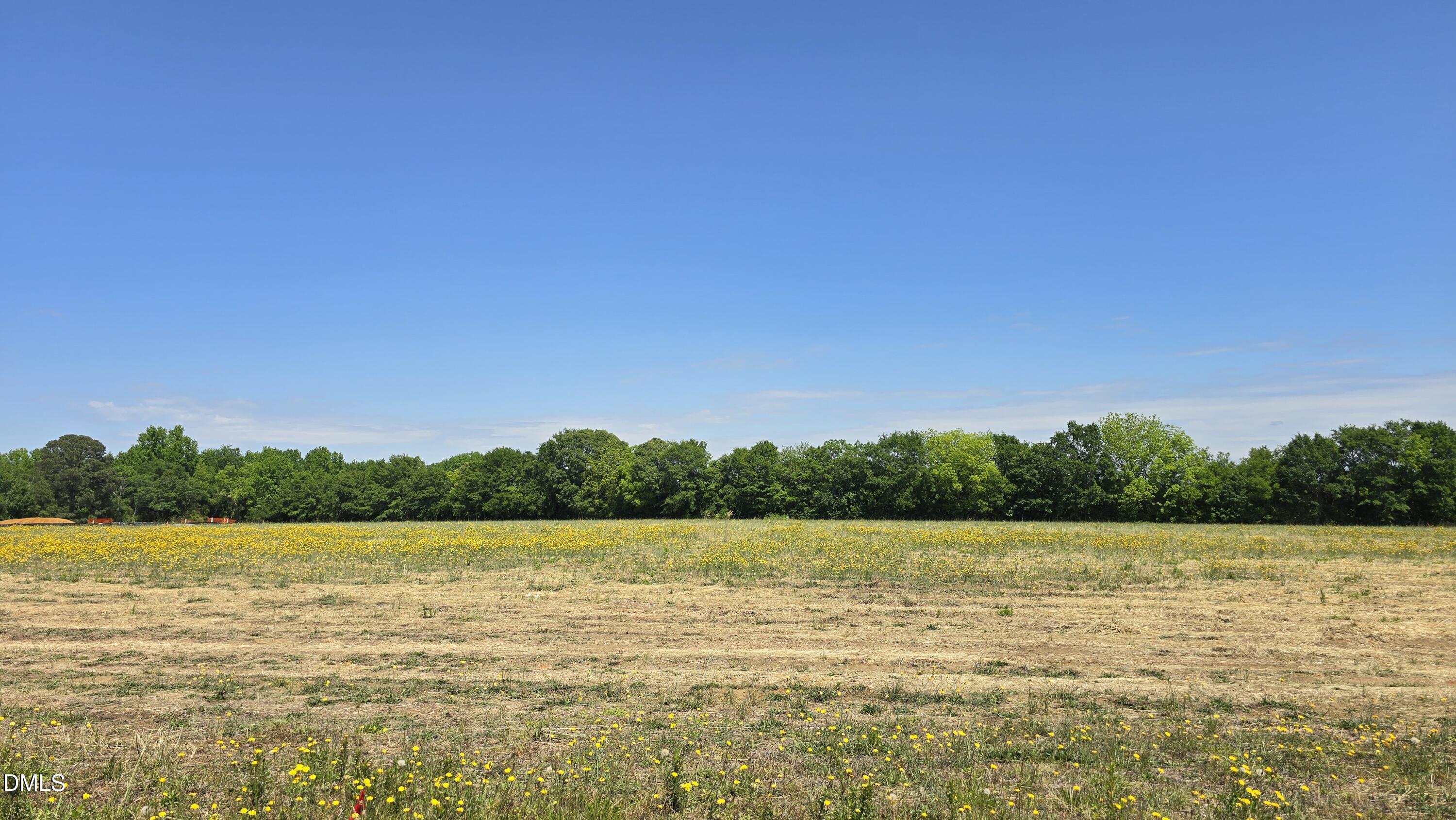 Lot 11 Dogeye Road Property Photo 12