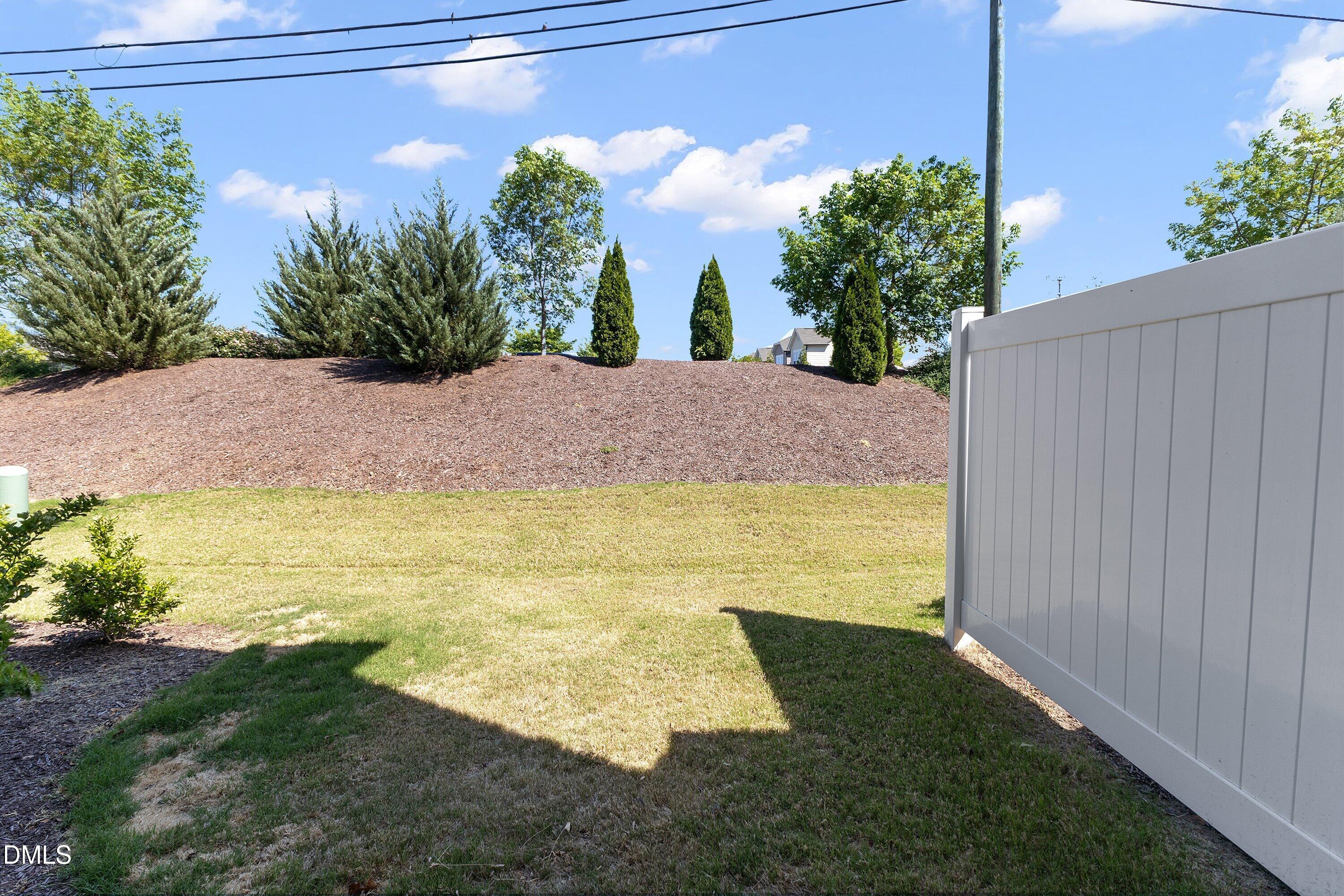 1307 Canary Pepper Drive Property Photo 30
