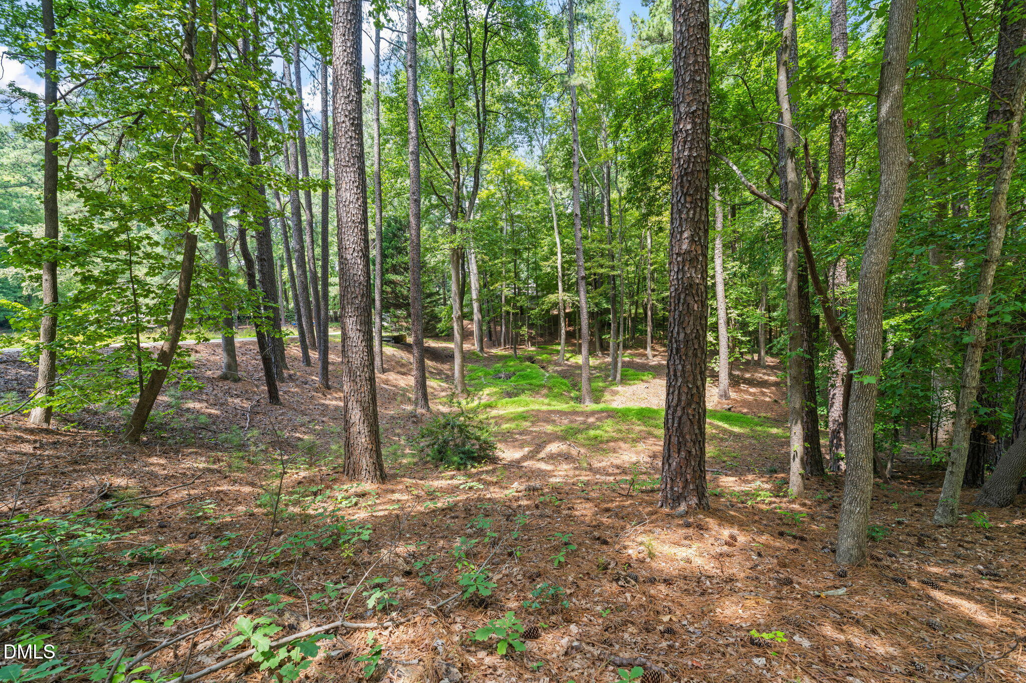 1401 Old Trinity Circle Property Photo 95