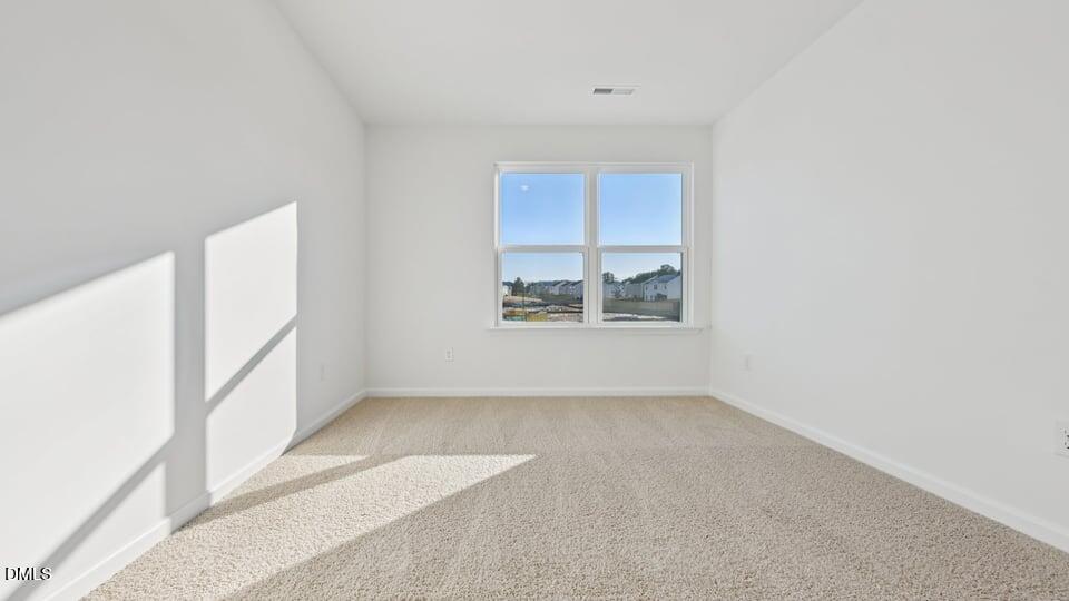915 Sculptor Street Property Photo 20