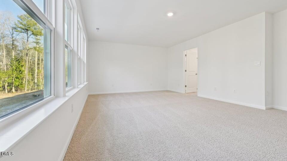 915 Sculptor Street Property Photo 28
