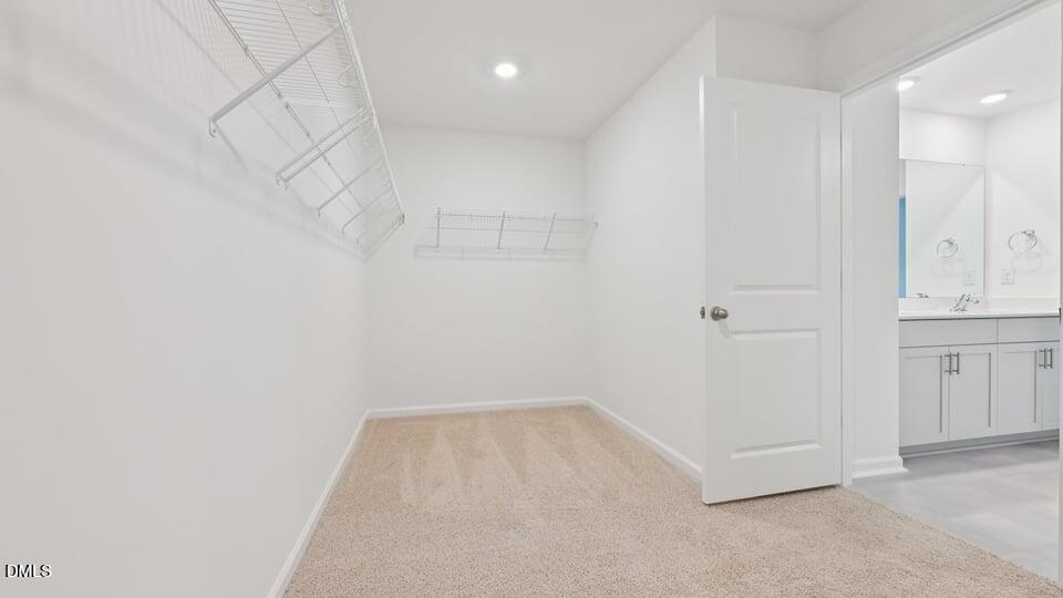 915 Sculptor Street Property Photo 32