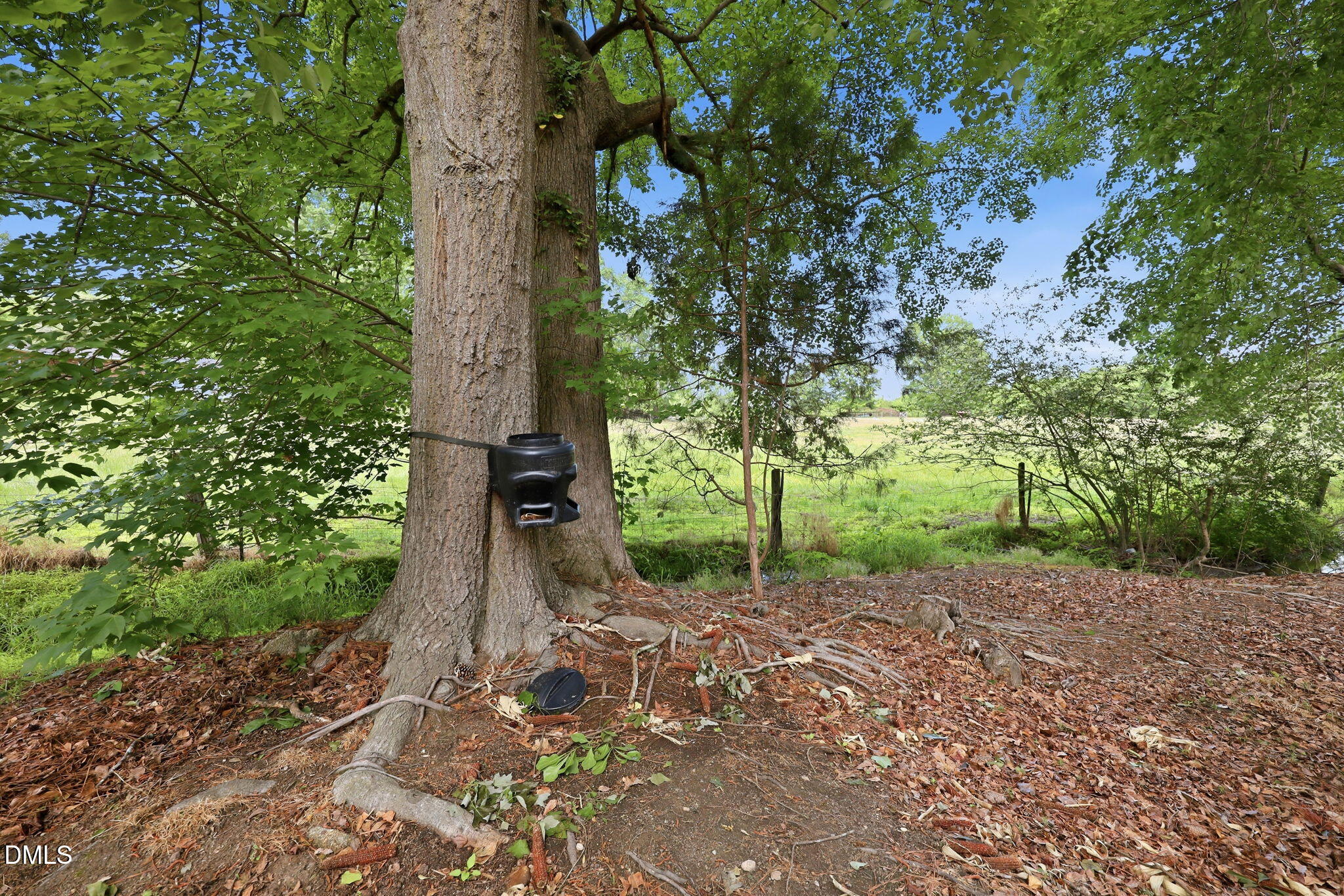 648 Rockbank Loop Property Photo 5