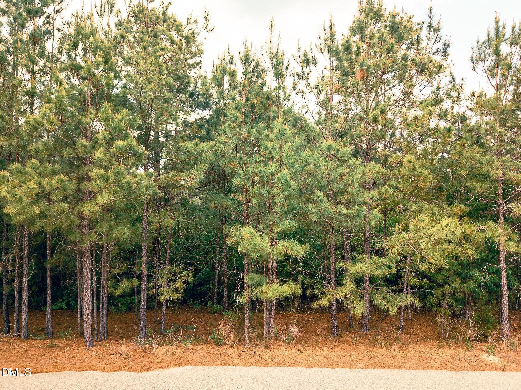 181 Appleton Way Property Photo 2