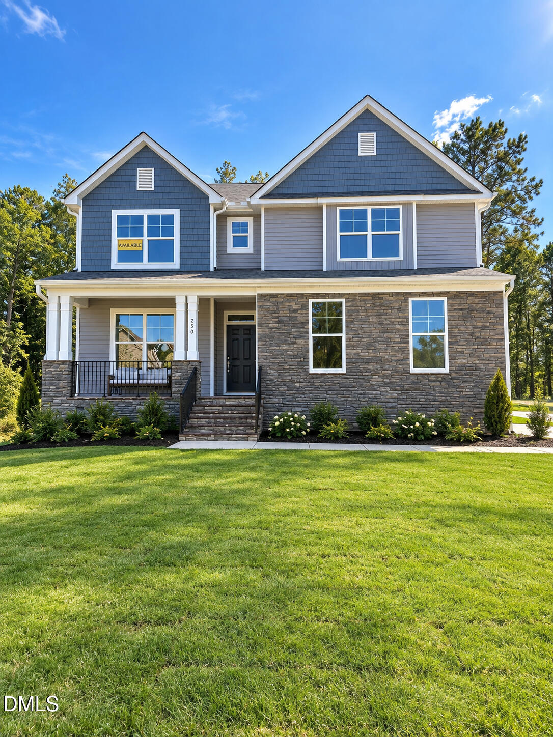 250 Rising Star Dr Drive Property Photo 1