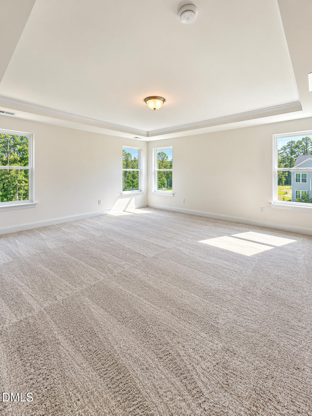 250 Rising Star Dr Drive Property Photo 14